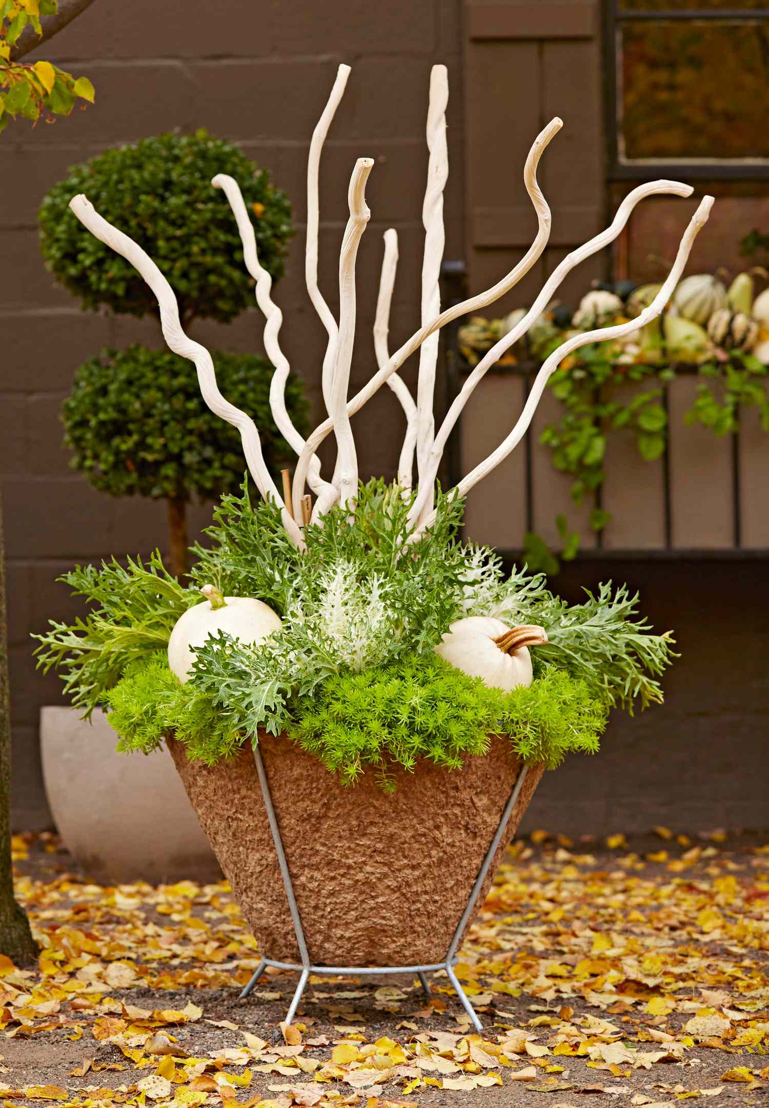 Fresh Fall Container Gardens