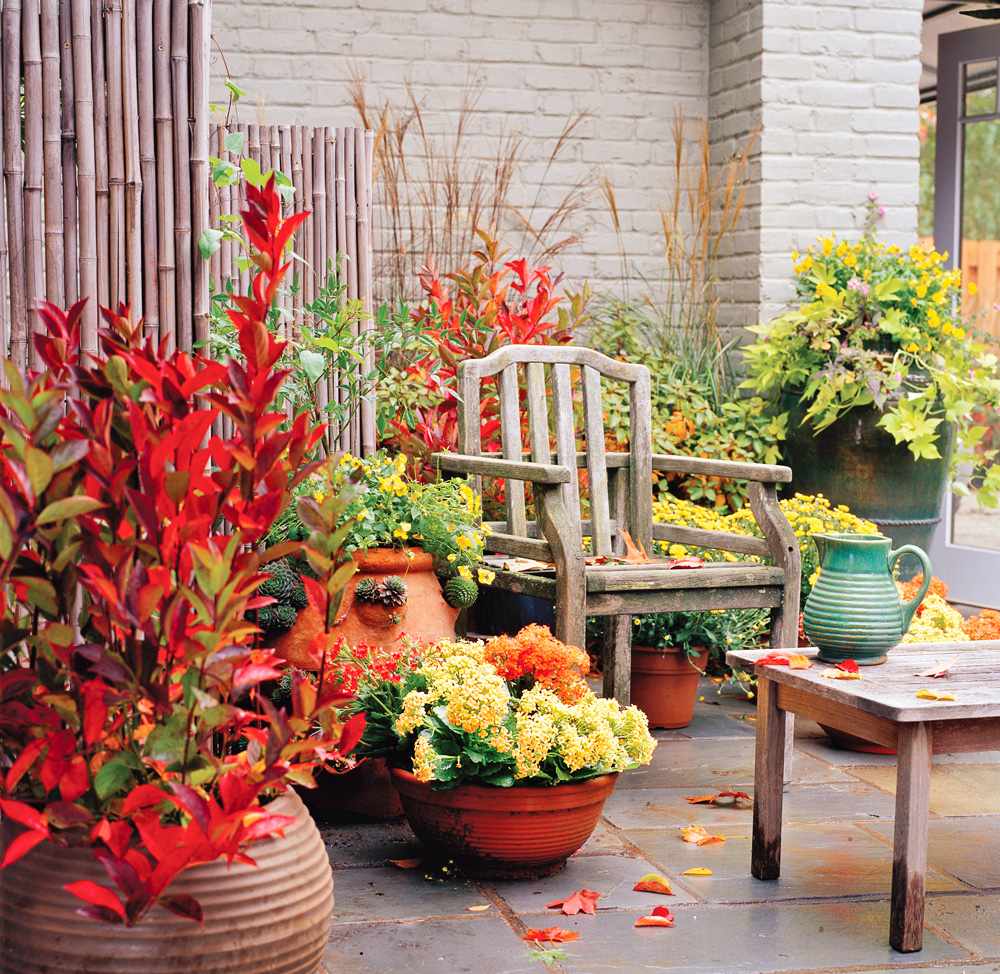 Fresh Fall Container Gardens