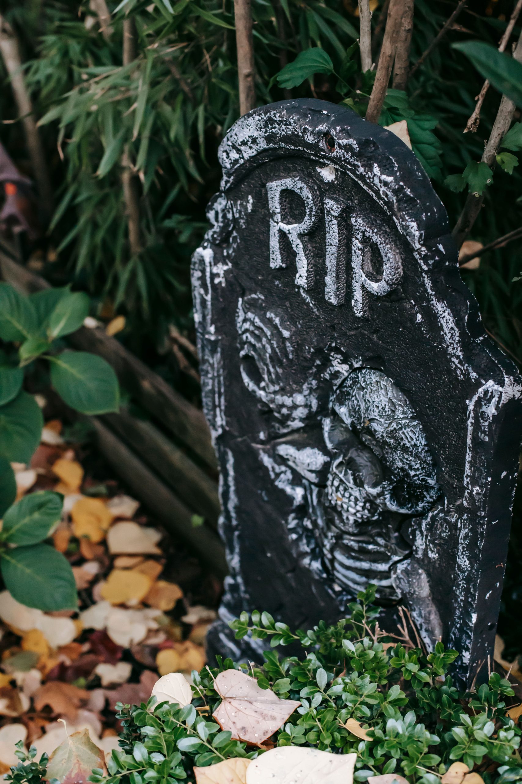 From above of fake black gravestone with skeleton and inscription RIP placed in autumn garden as decoration for Halloween celebration