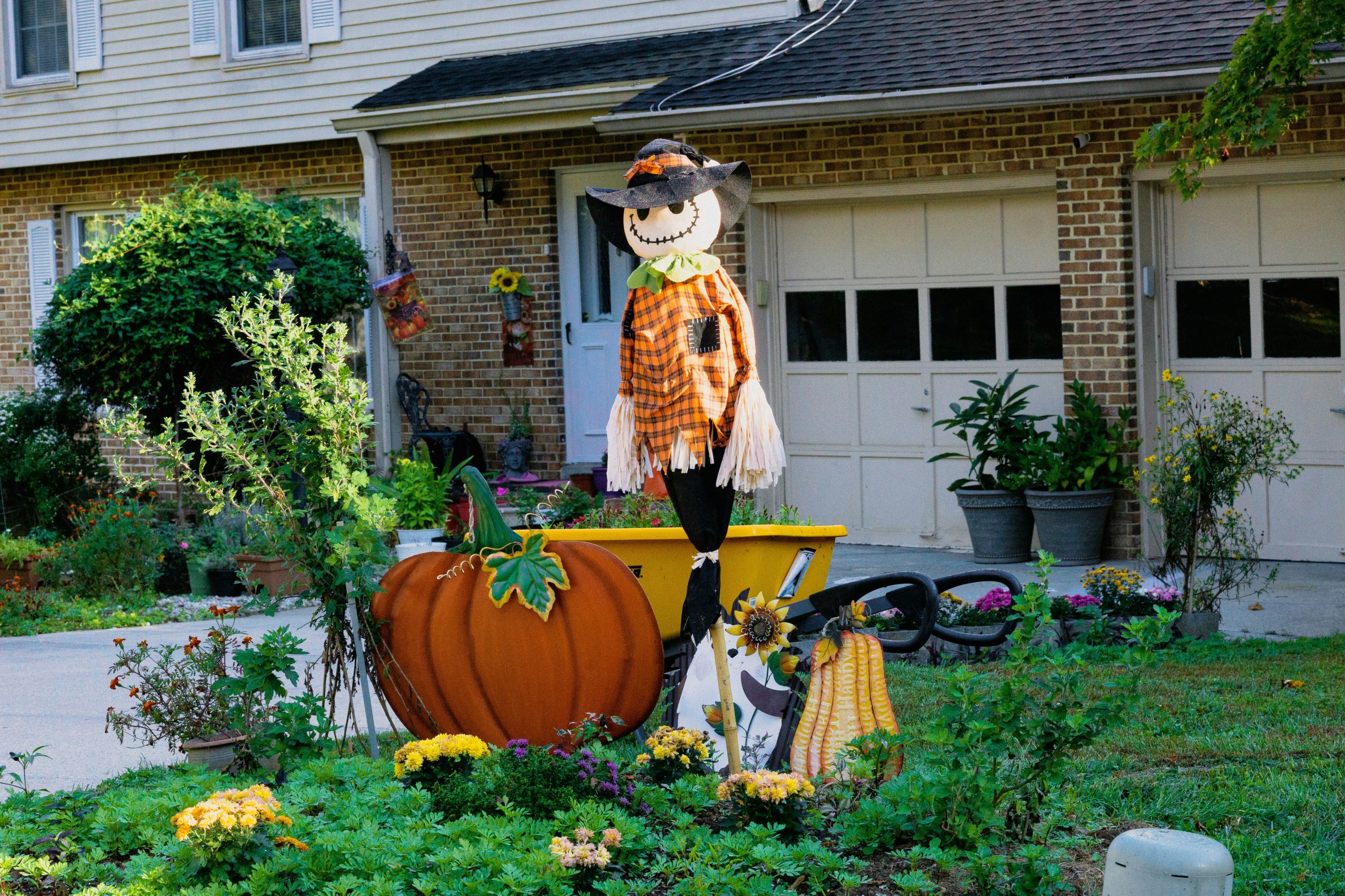 Front yard decoration for Halloween and Thanksgiving with pumpkins and scarecrow.