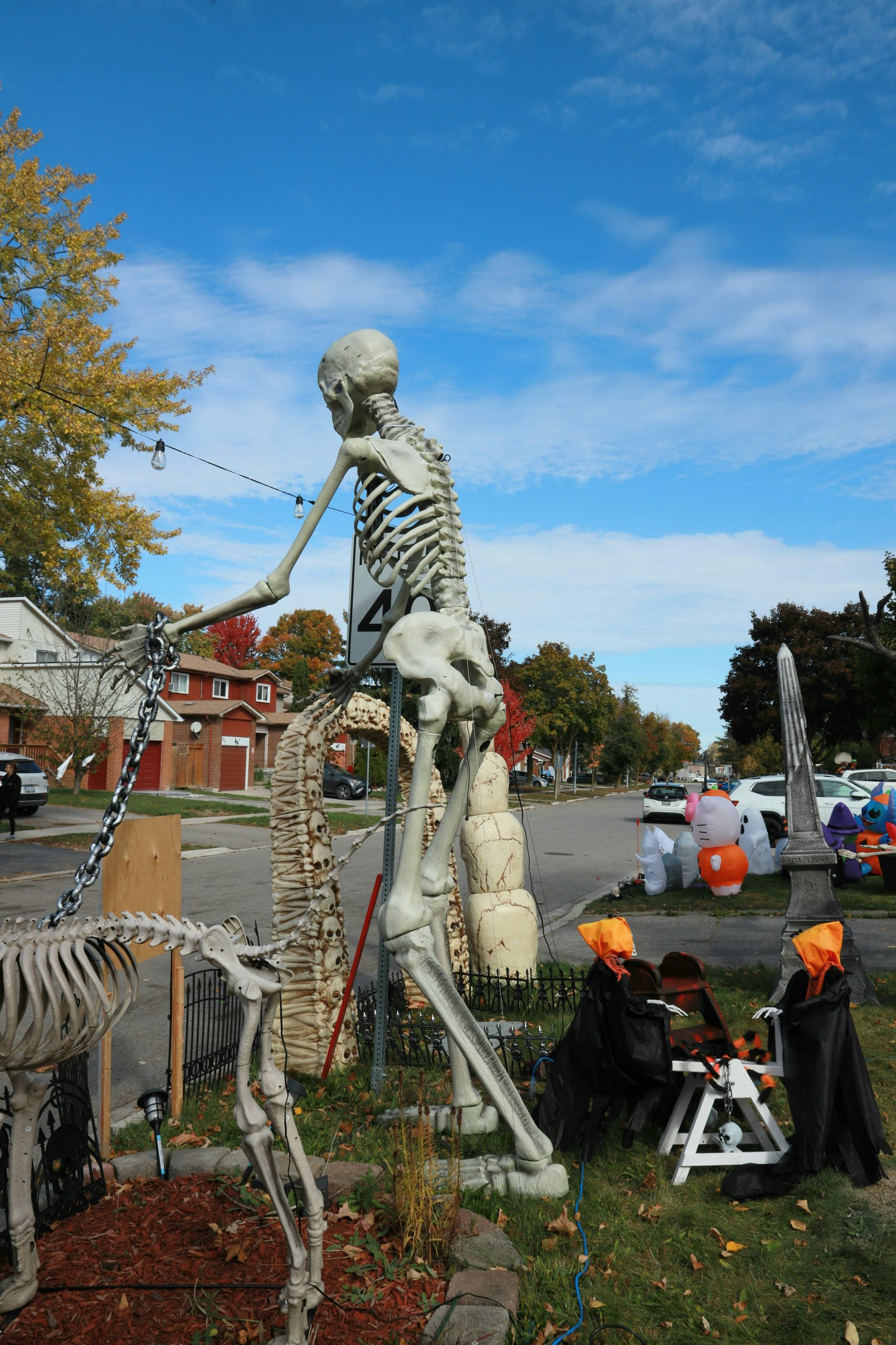 Giant skeleton decoration for halloween celebration