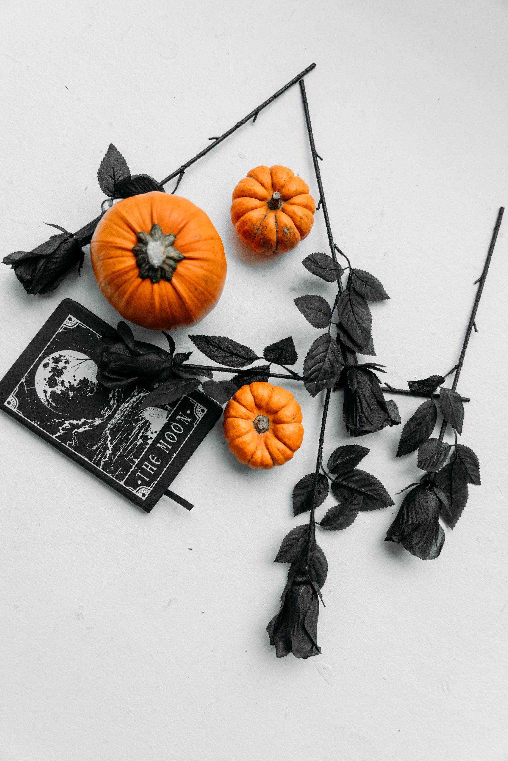Halloween-themed flatlay with pumpkins, black roses, and a moon-themed card for spooky decor.