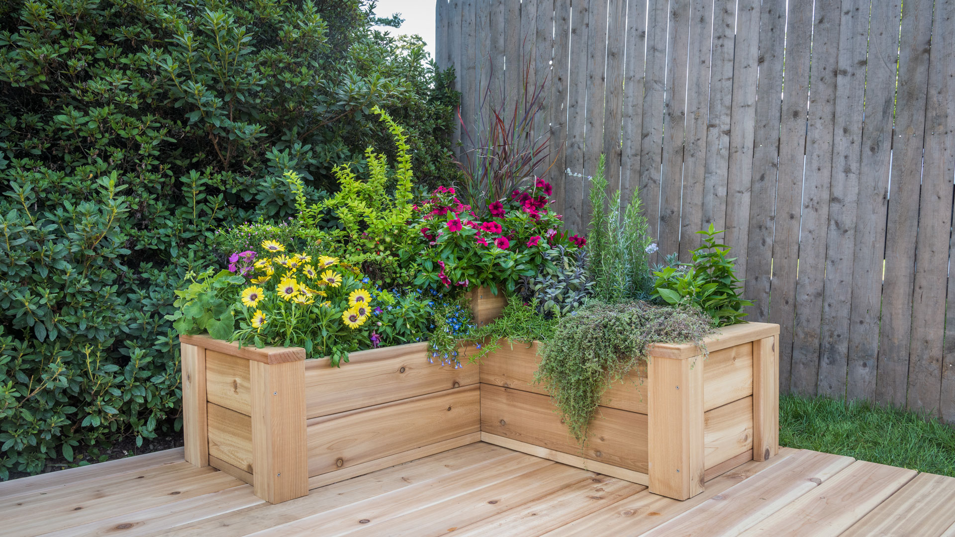 How to Make a Garden on Your Deck or Patio - Burpee