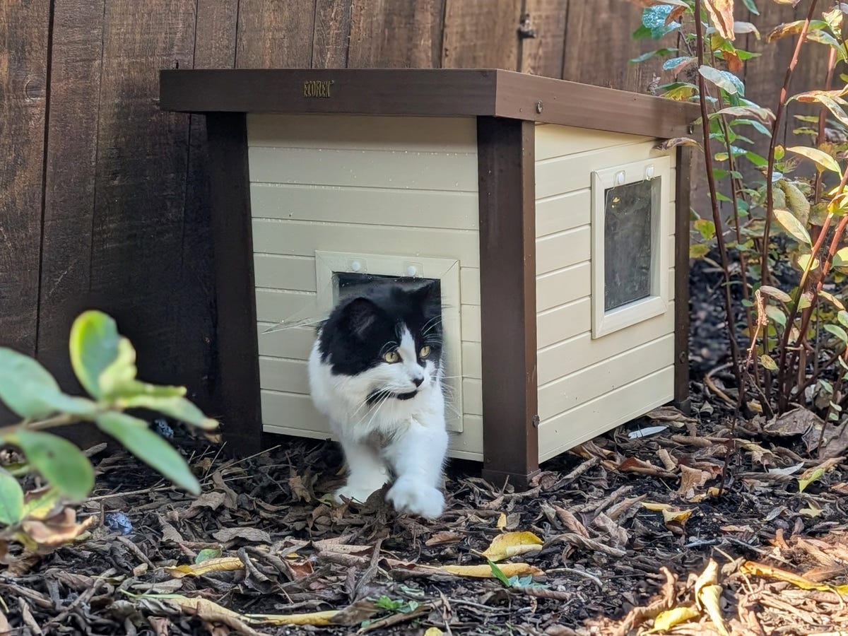 Insulated Diy Cat Cat Warm House DIY INSULATED CAT HOUSE *INEXPENSIVE*