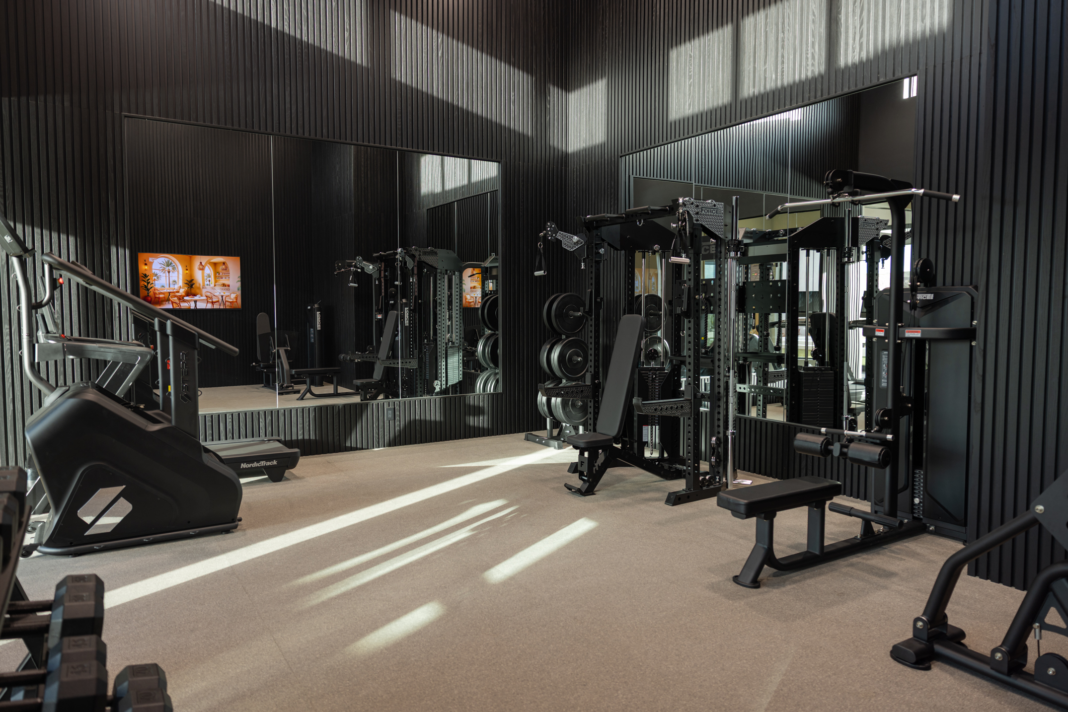 Luxury Home Gym Design | DivFit