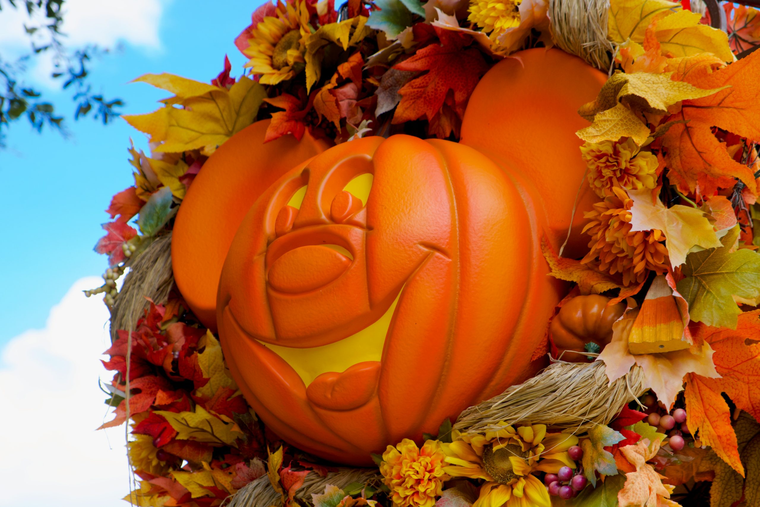 Mickey Mouse shaped seasonal pumpkin wreath, Magic Kingdom.