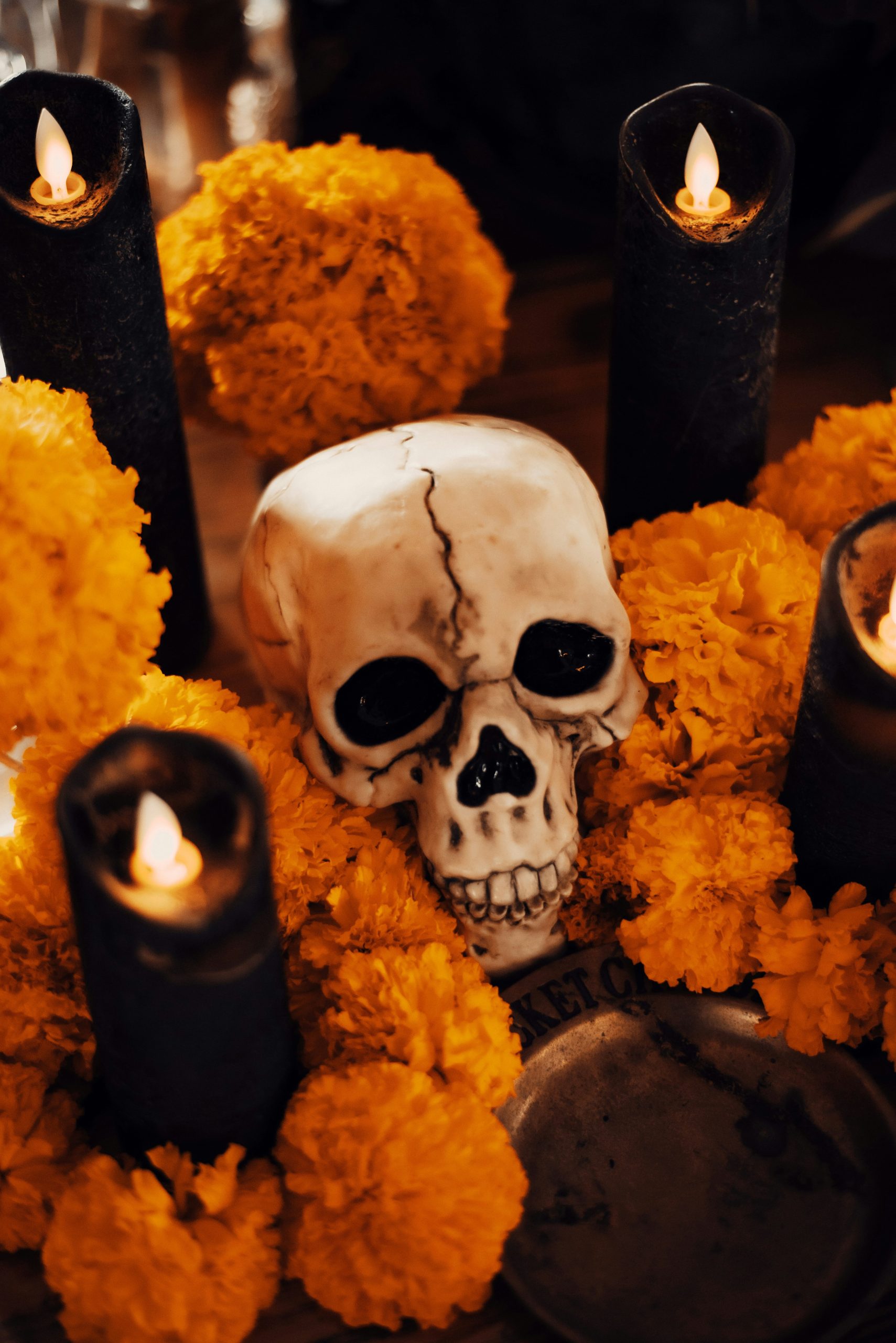 Mr. Skullsworth with his Marigolds