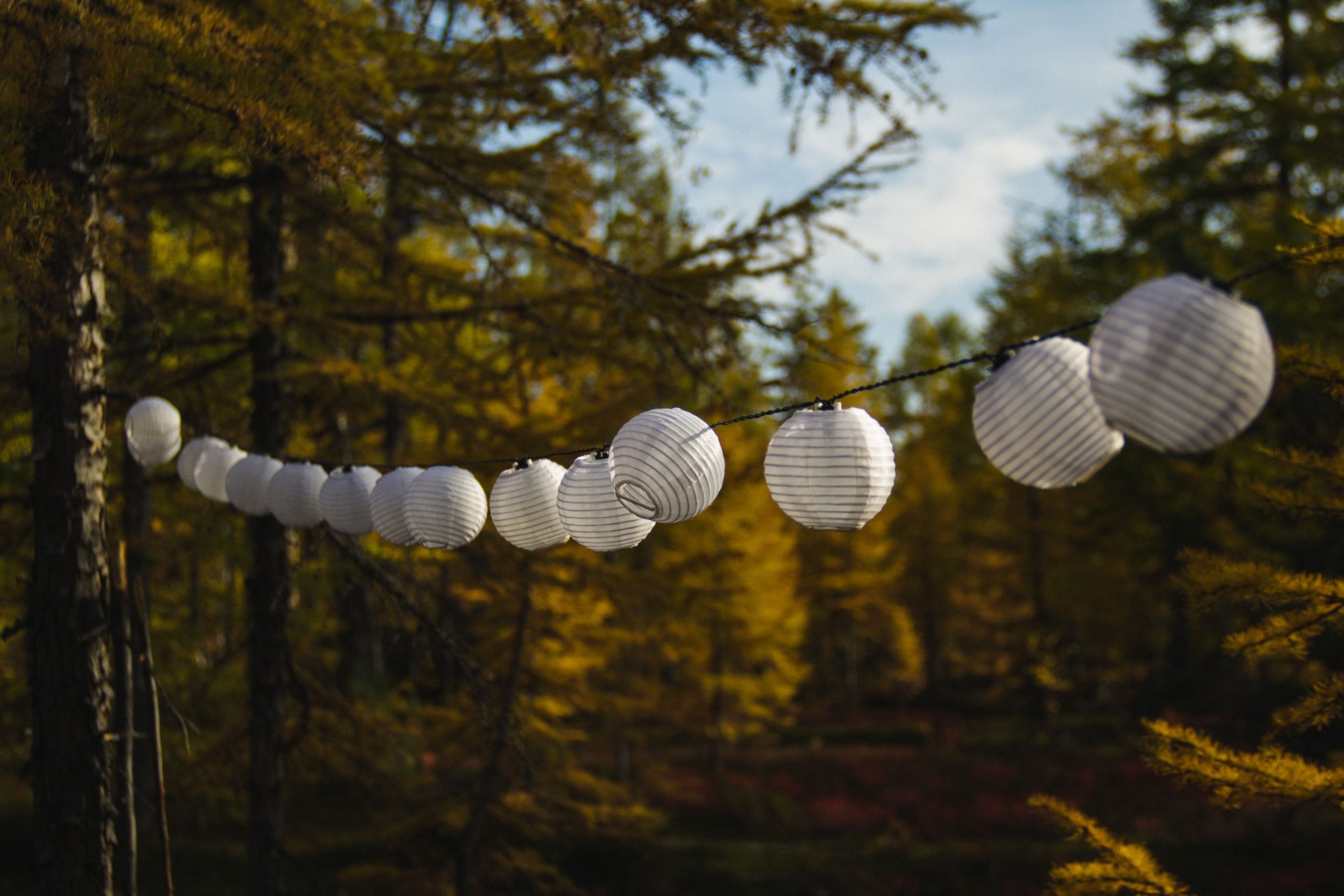 Paper lanterns hanging amidst autumn trees in a vibrant forest setting.