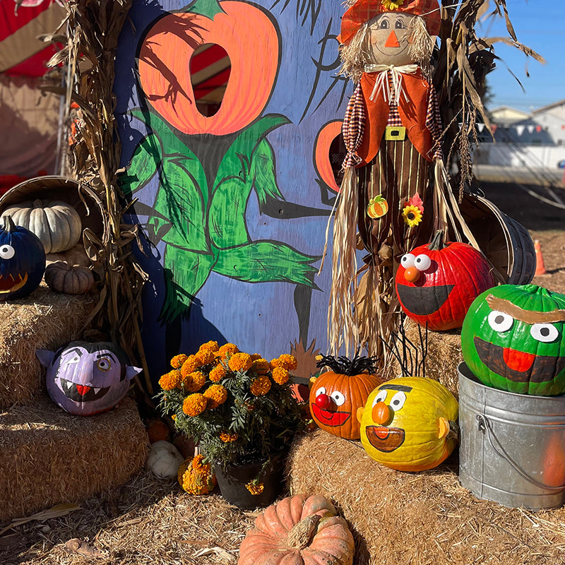 Professional Pumpkin Carving - Hand Carved Pumpkins - Carve Pumpkins – Mr. Jack O' Lanterns Pumpkins