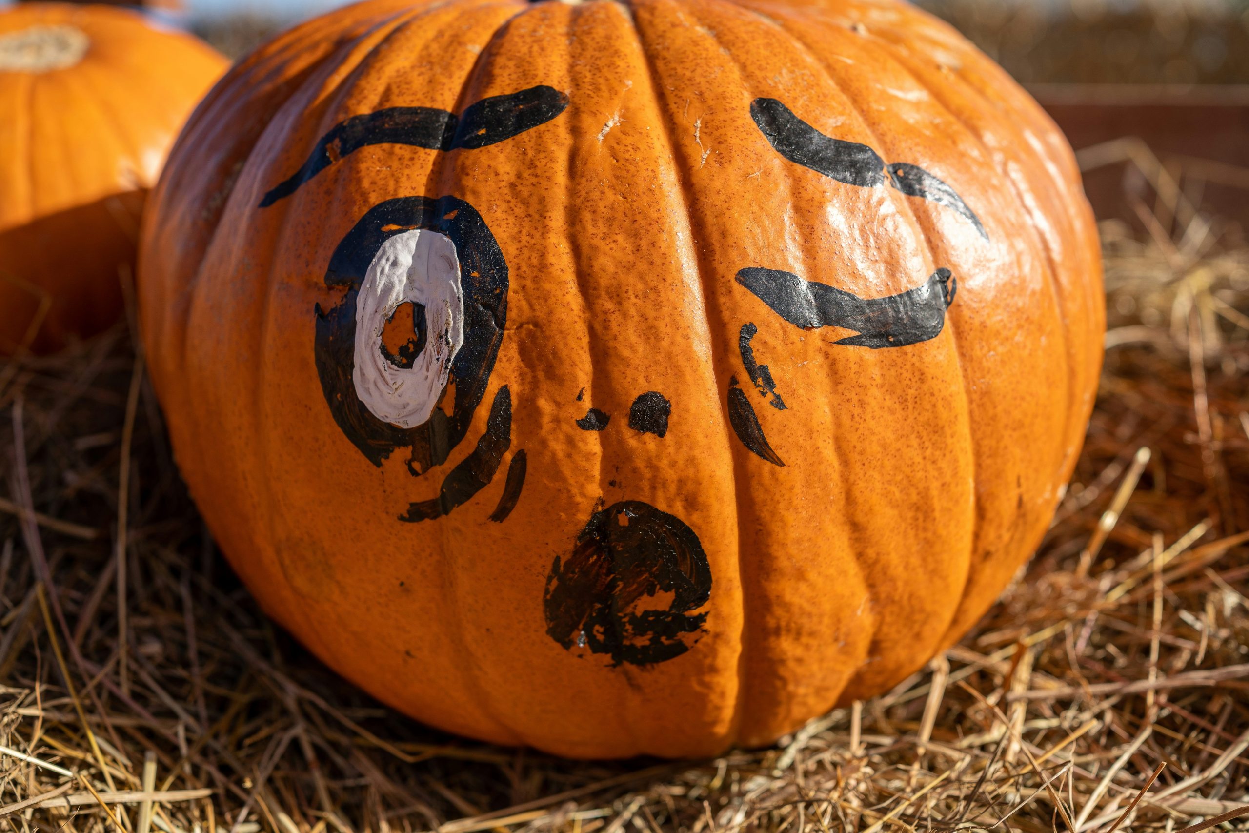 Pumpkin face paint art