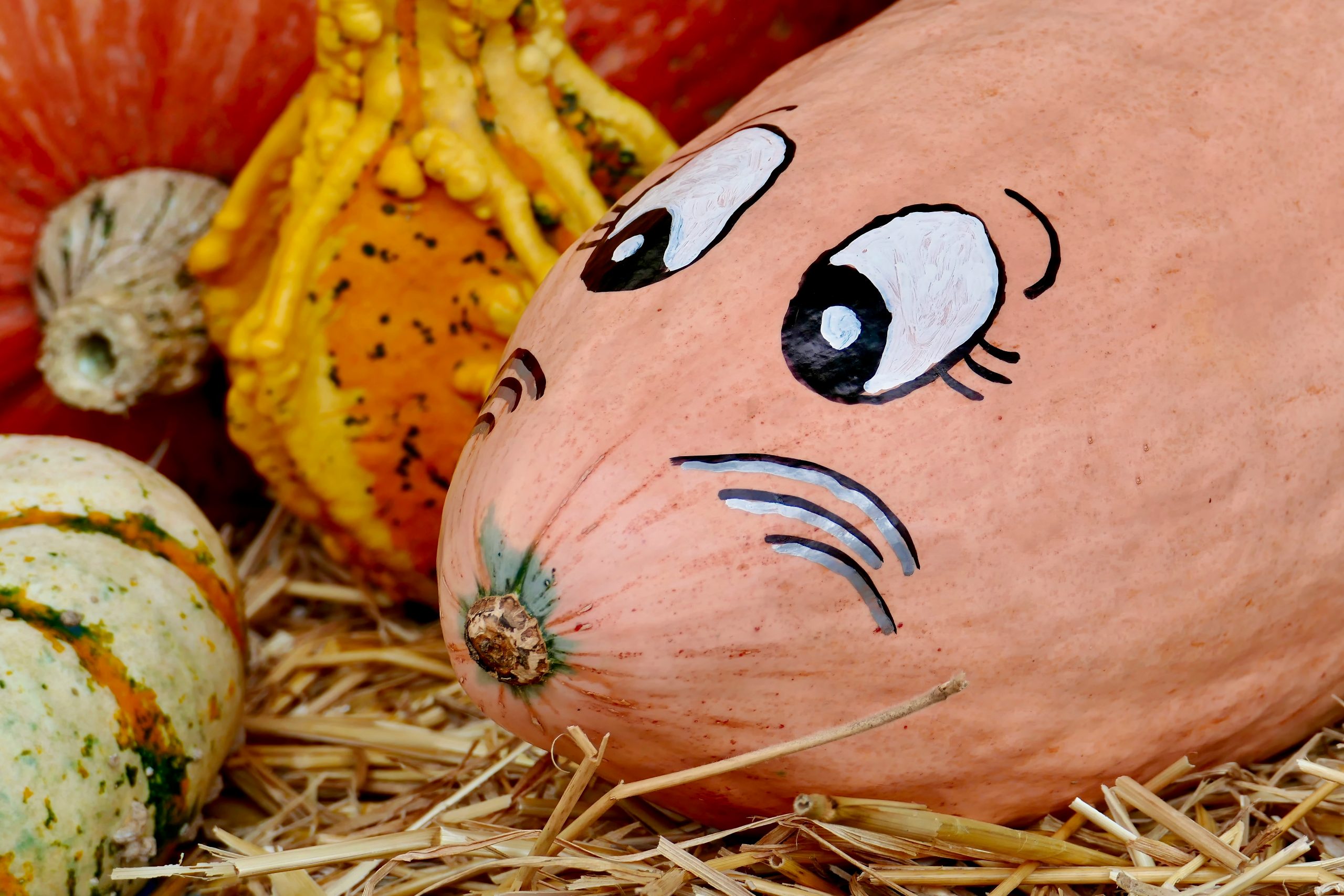Pumpkin mouse