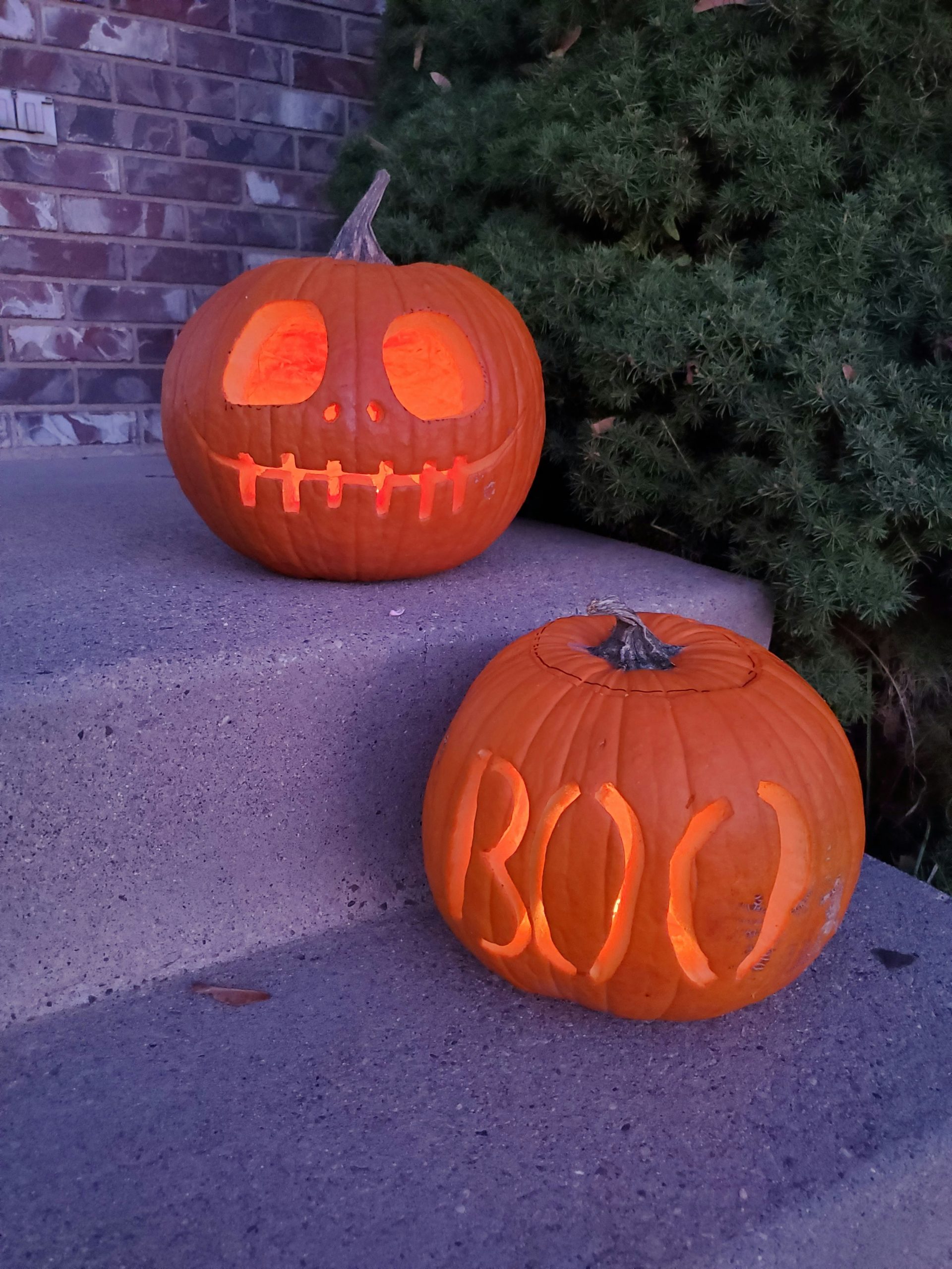 pumpkin,pumpkins,halloween,halloween pumpkin