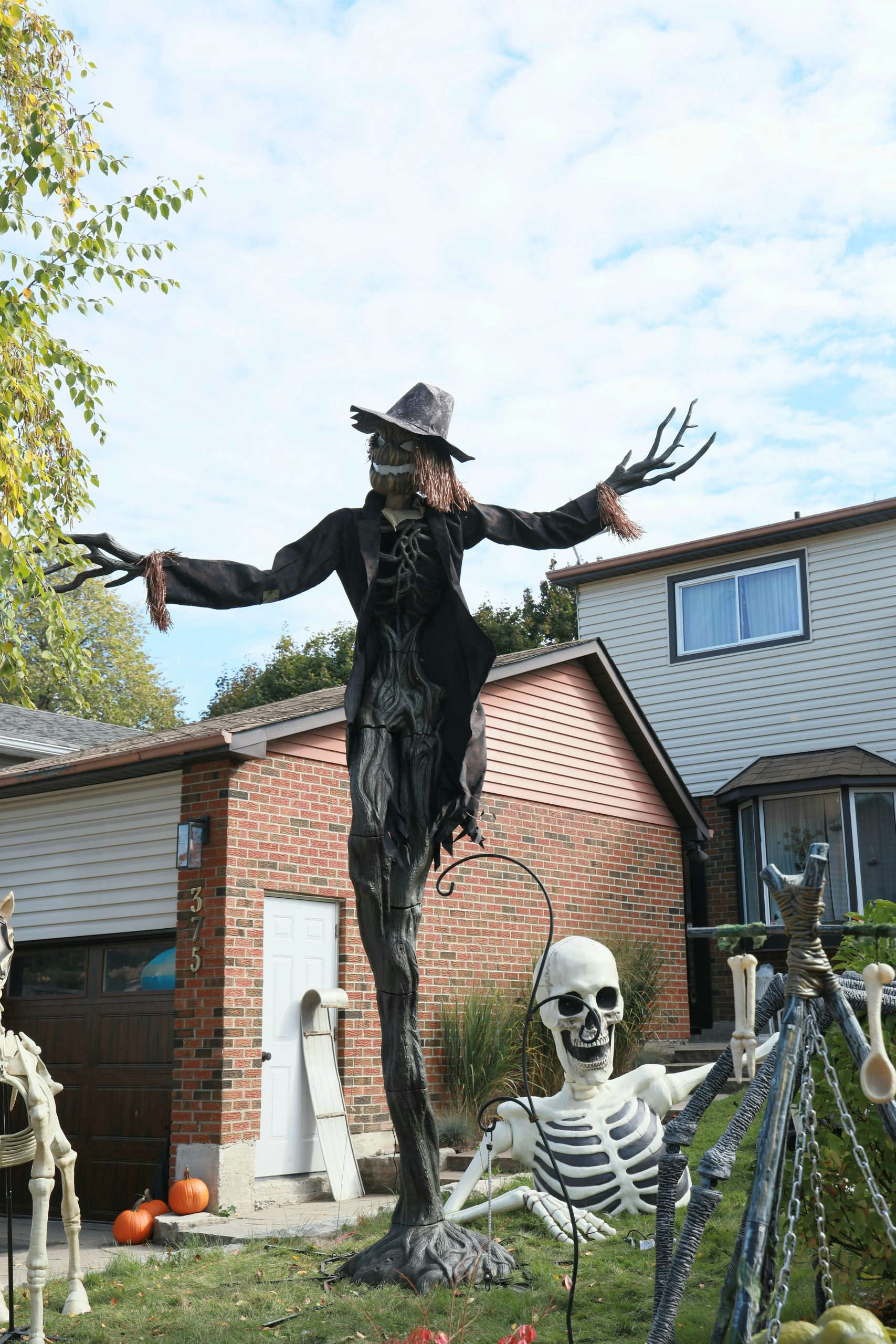 Scarecrow and skeletons decorate a yard for halloween.