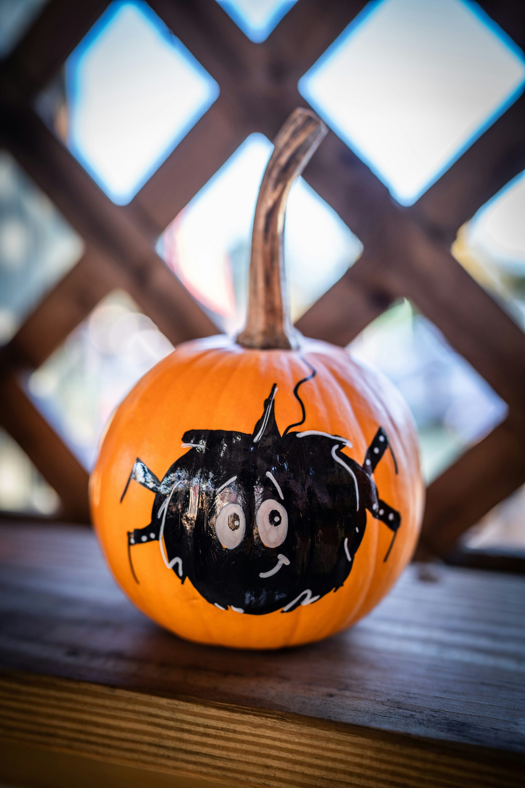 Spider painting on pumpkin