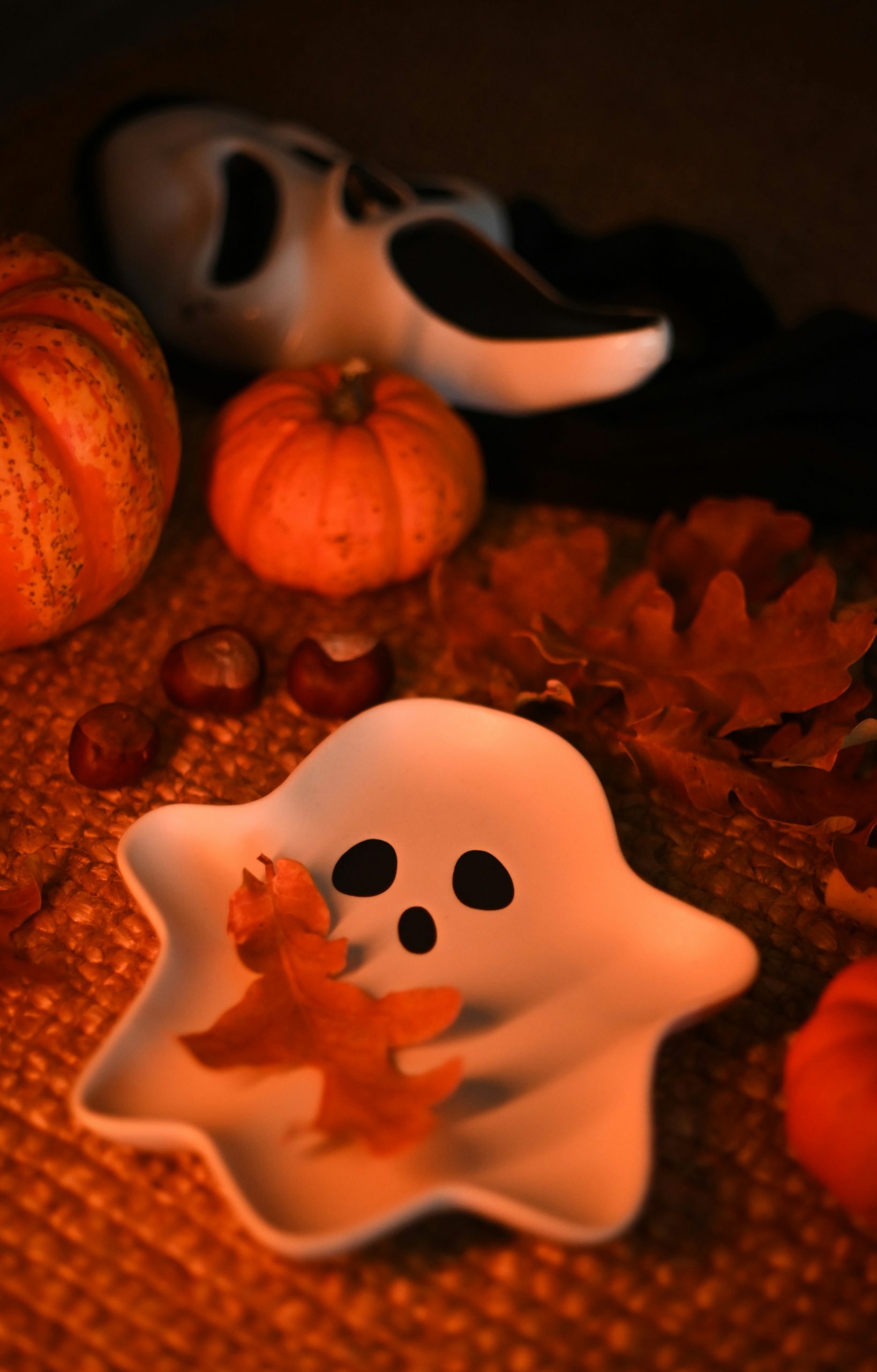 Spookoween Flatlay [adapted Canon 50mm on Nikon Z]