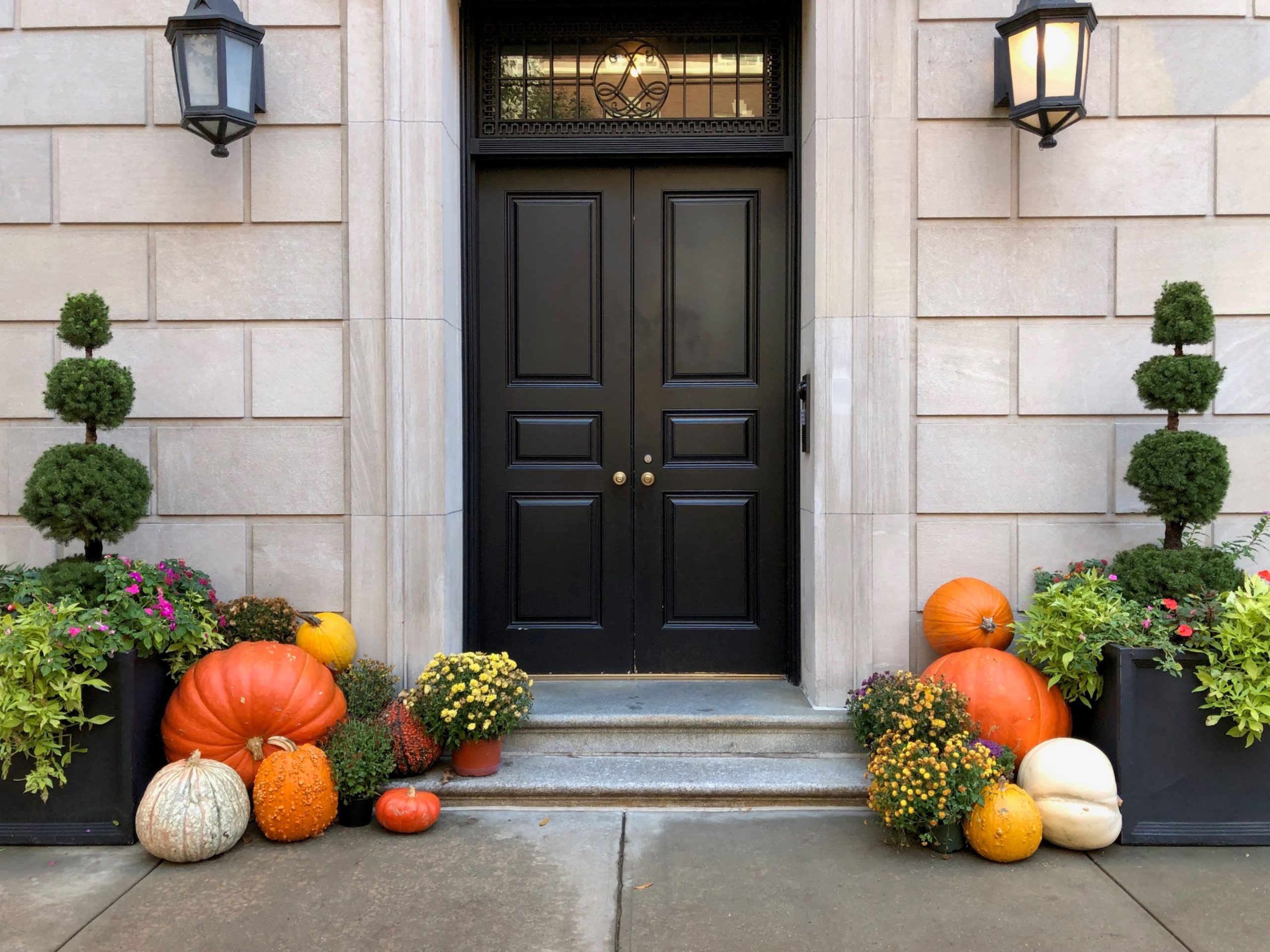 Stylish black door adorned with pumpkins and autumn plants on a fall day.