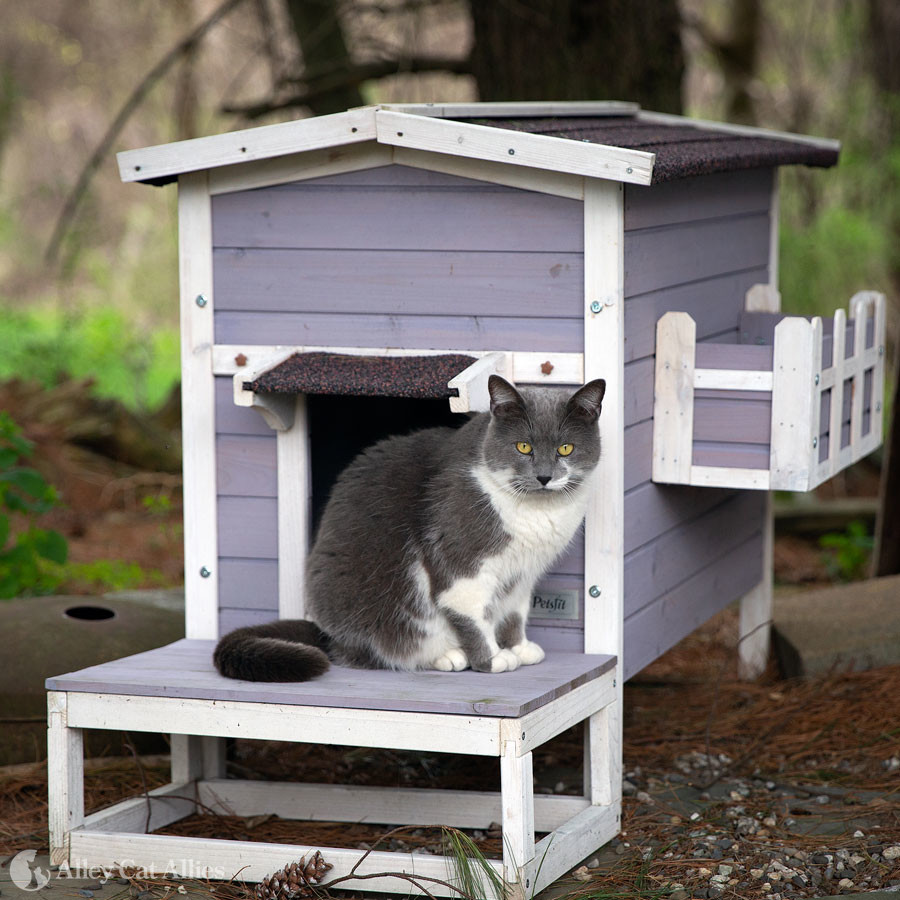 Summer Shelter For Feral Cats Heated Outdoor Cat House Insulated Elevated Outdoor Cat House For