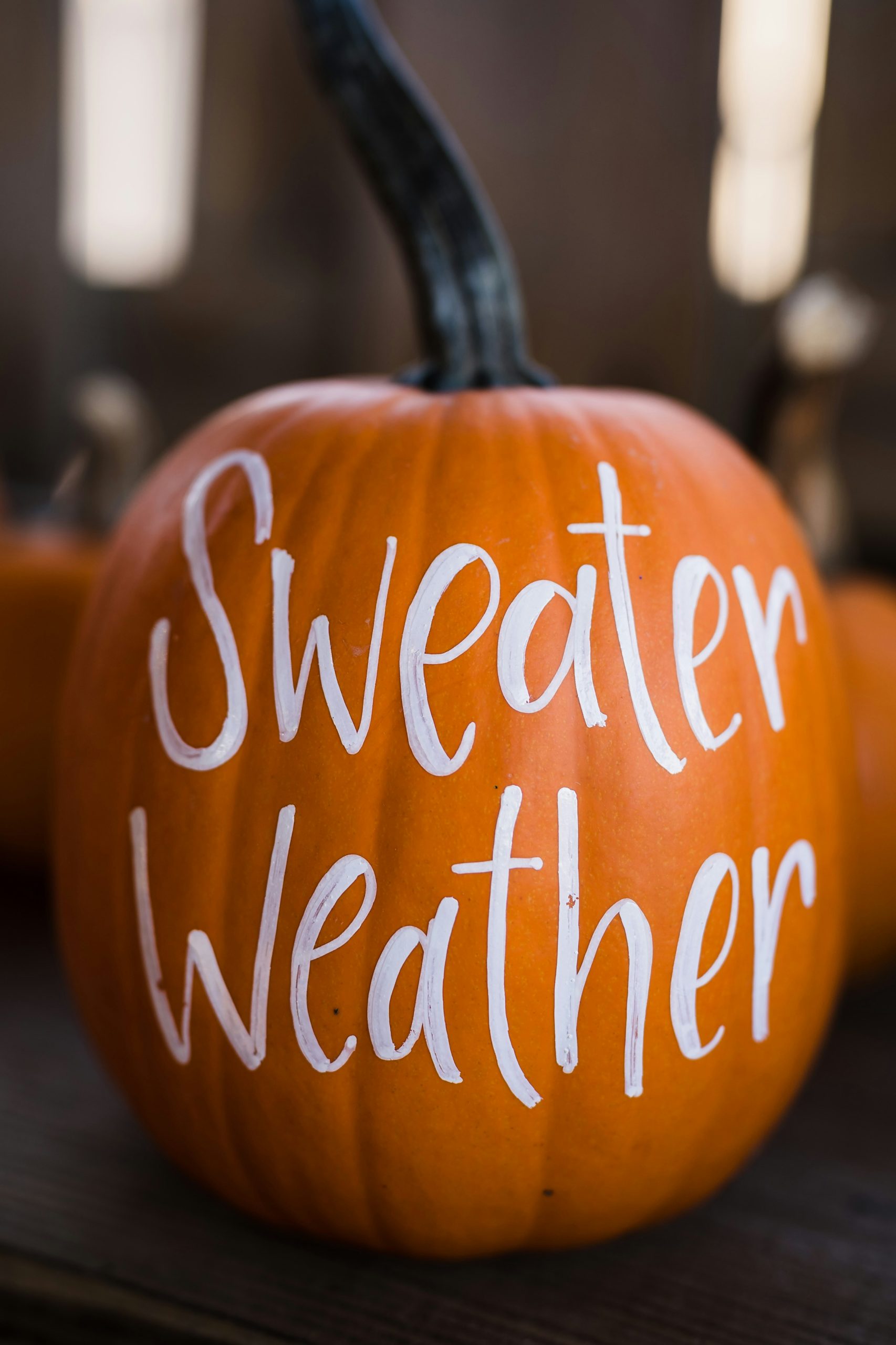 Sweater weather pumpkin