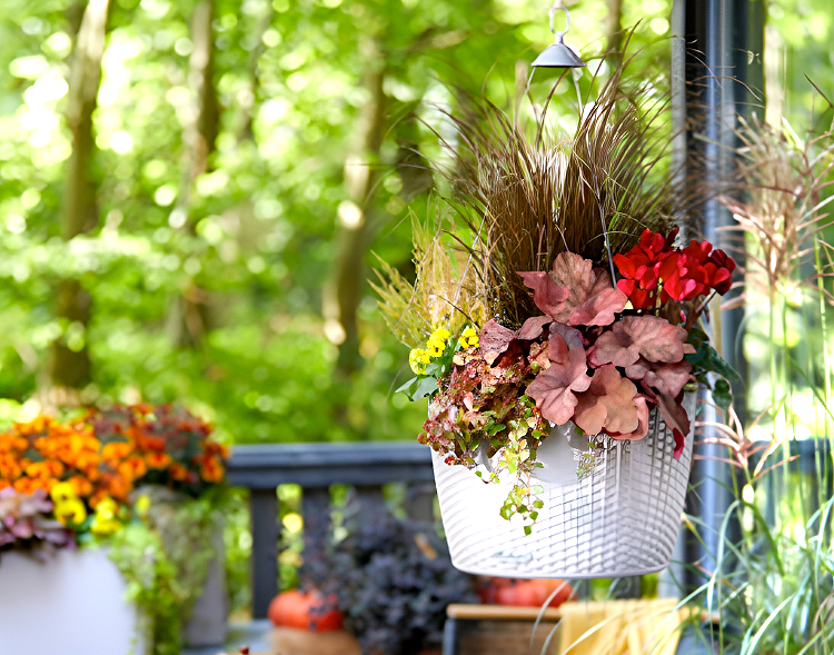 Thanksgiving Hanging Baskets & Fall Porch Decor - Hooks & Lattice