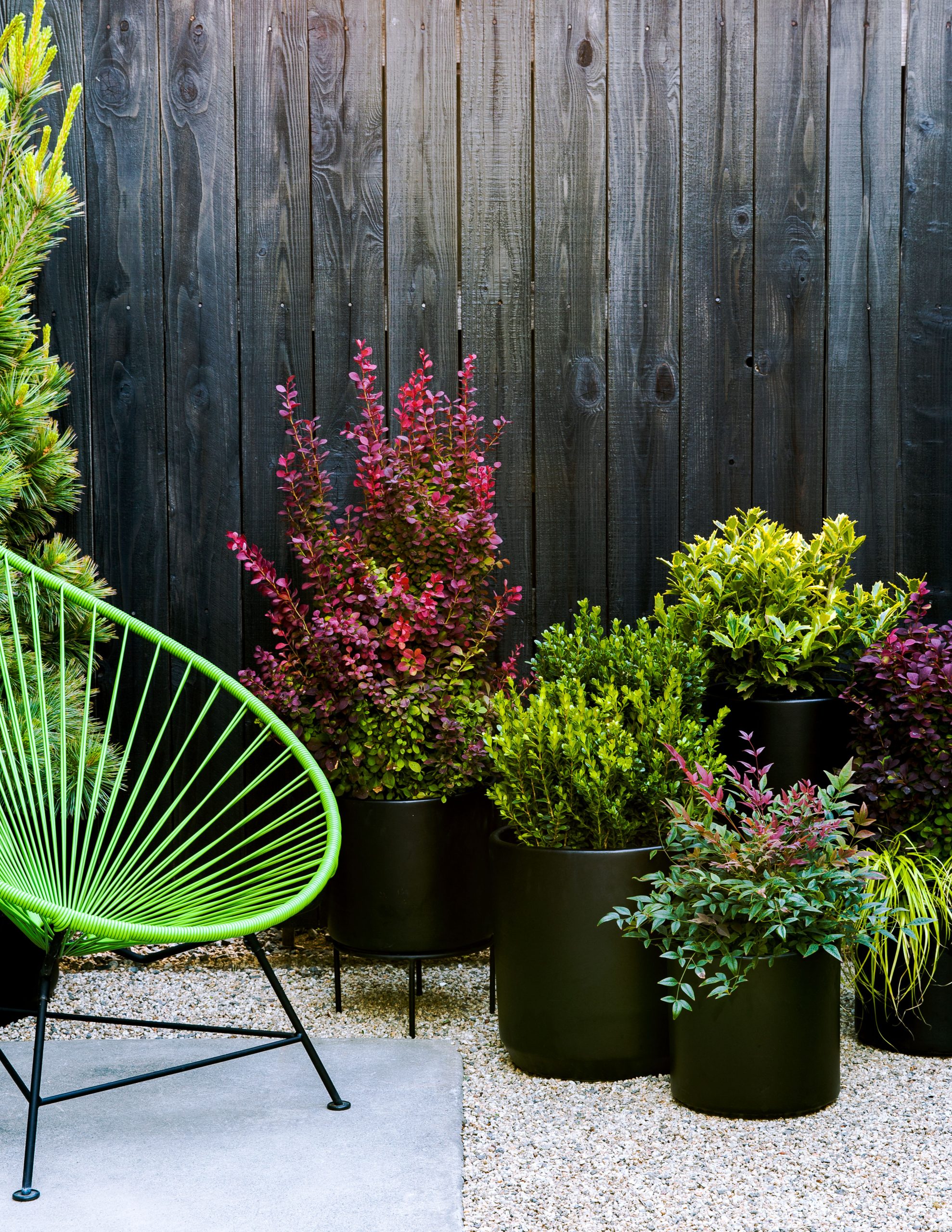 The Most Gorgeous Fall Container Gardens for Any Space - Sunset – Sunset Magazine