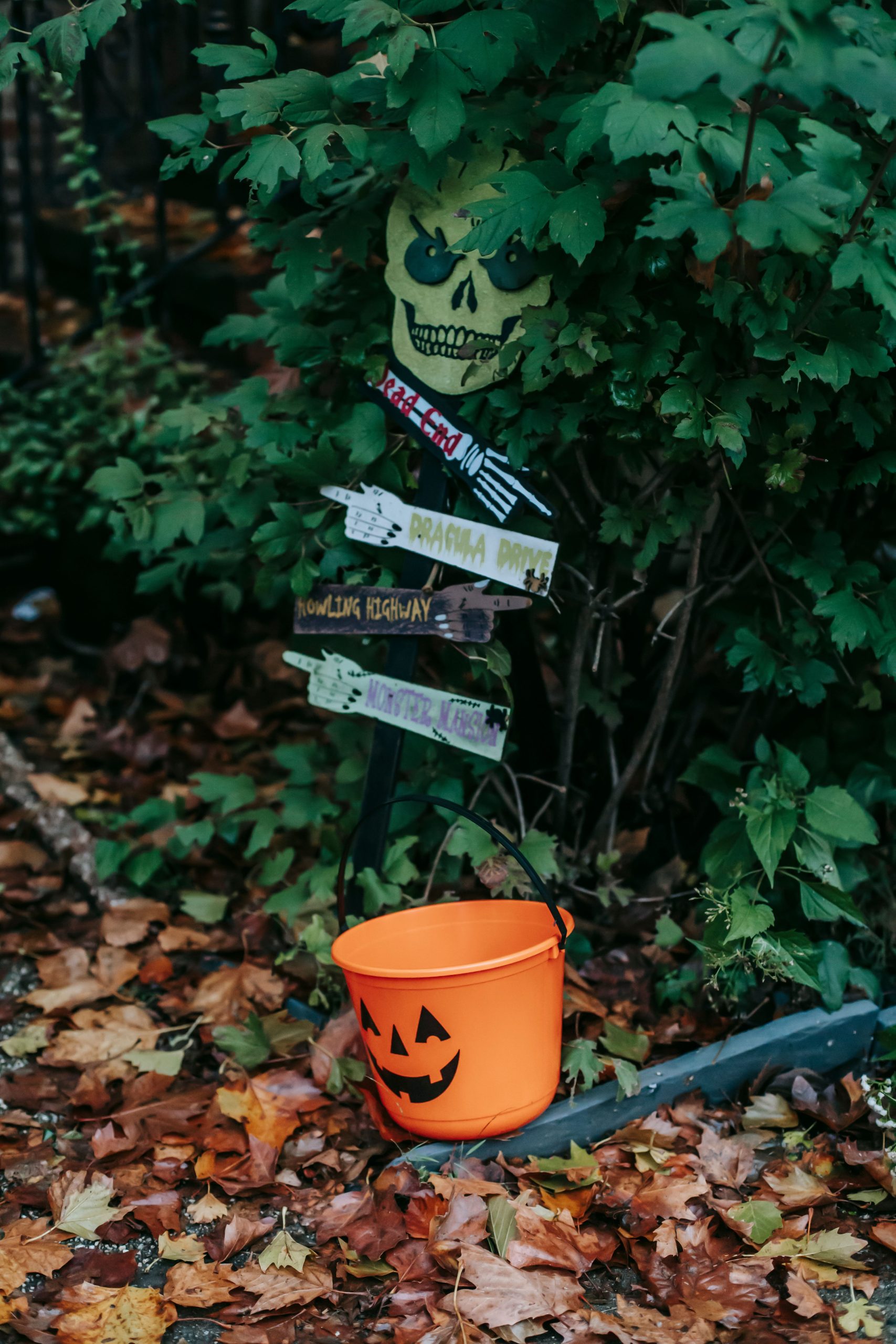 Traditional Halloween scary decoration with skull and pointers and orange small bucket in autumn garden