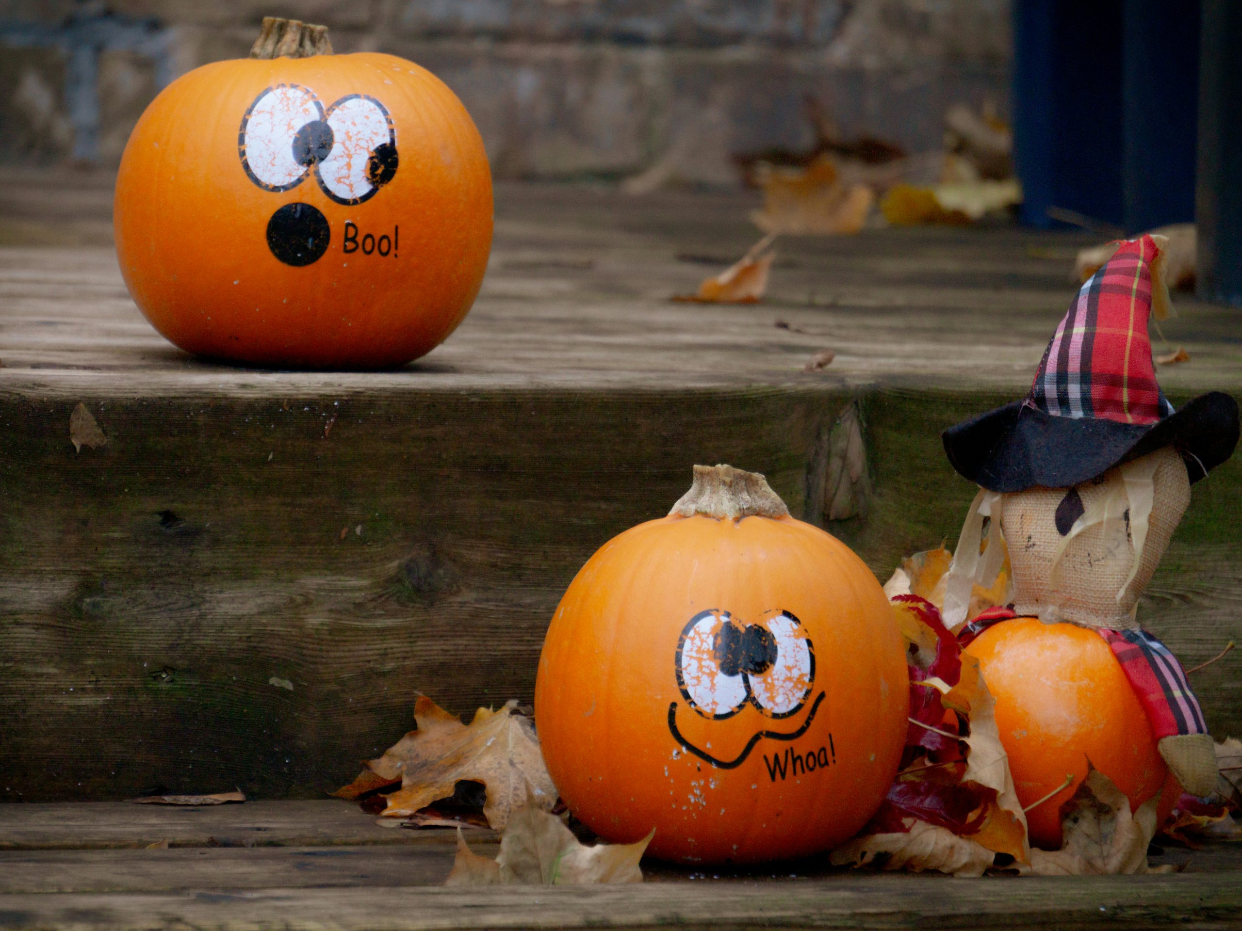 Two decorated pumpkins and a scarecrow on wooden steps