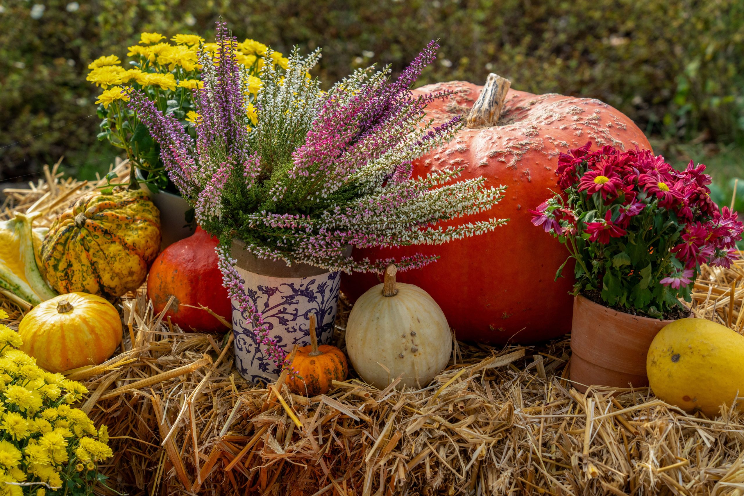 Vibrant fall arrangement featuring pumpkins and colorful flowers on hay.