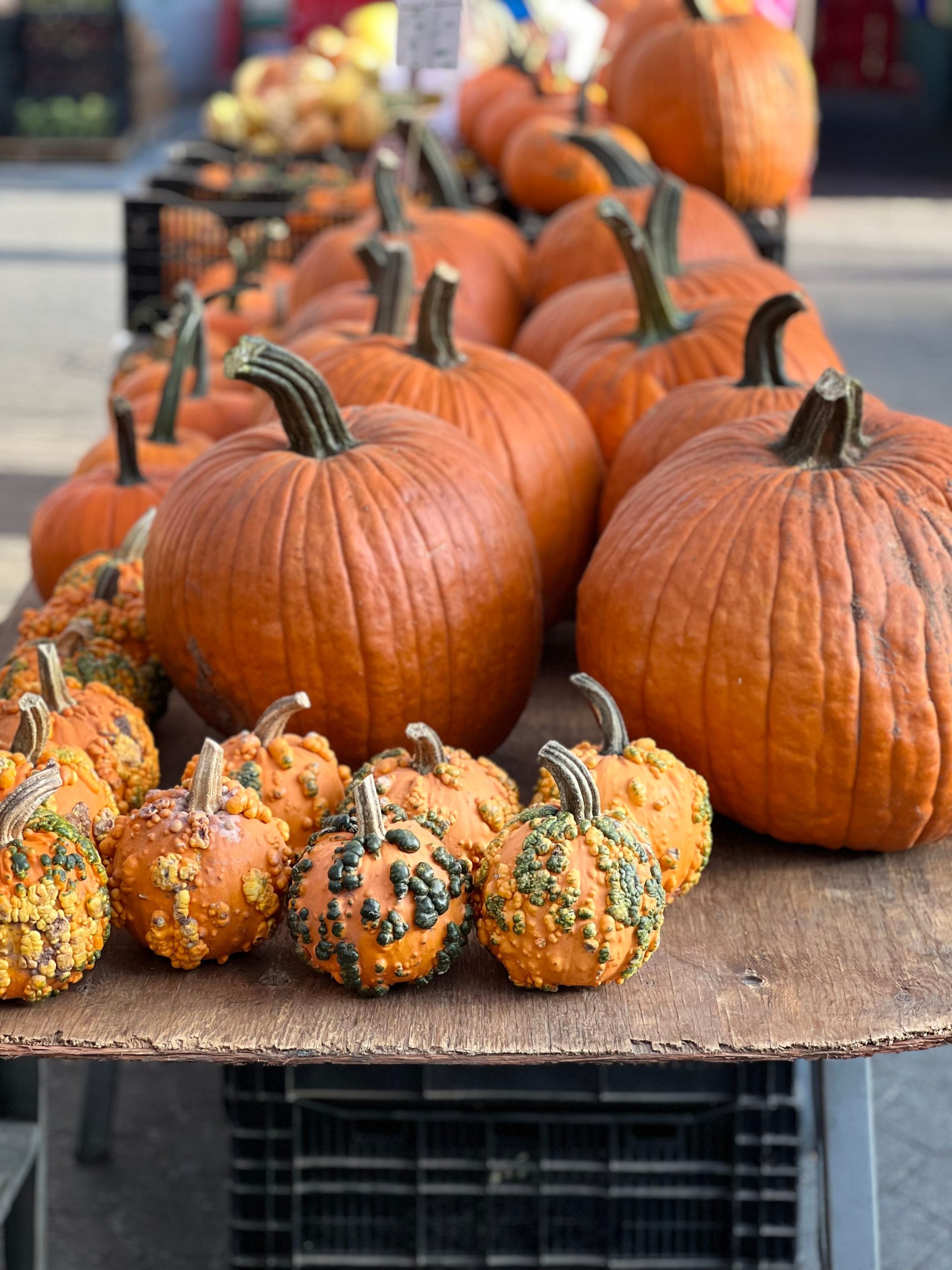 Vibrant orange pumpkins on a rustic table, perfect for fall decorations.