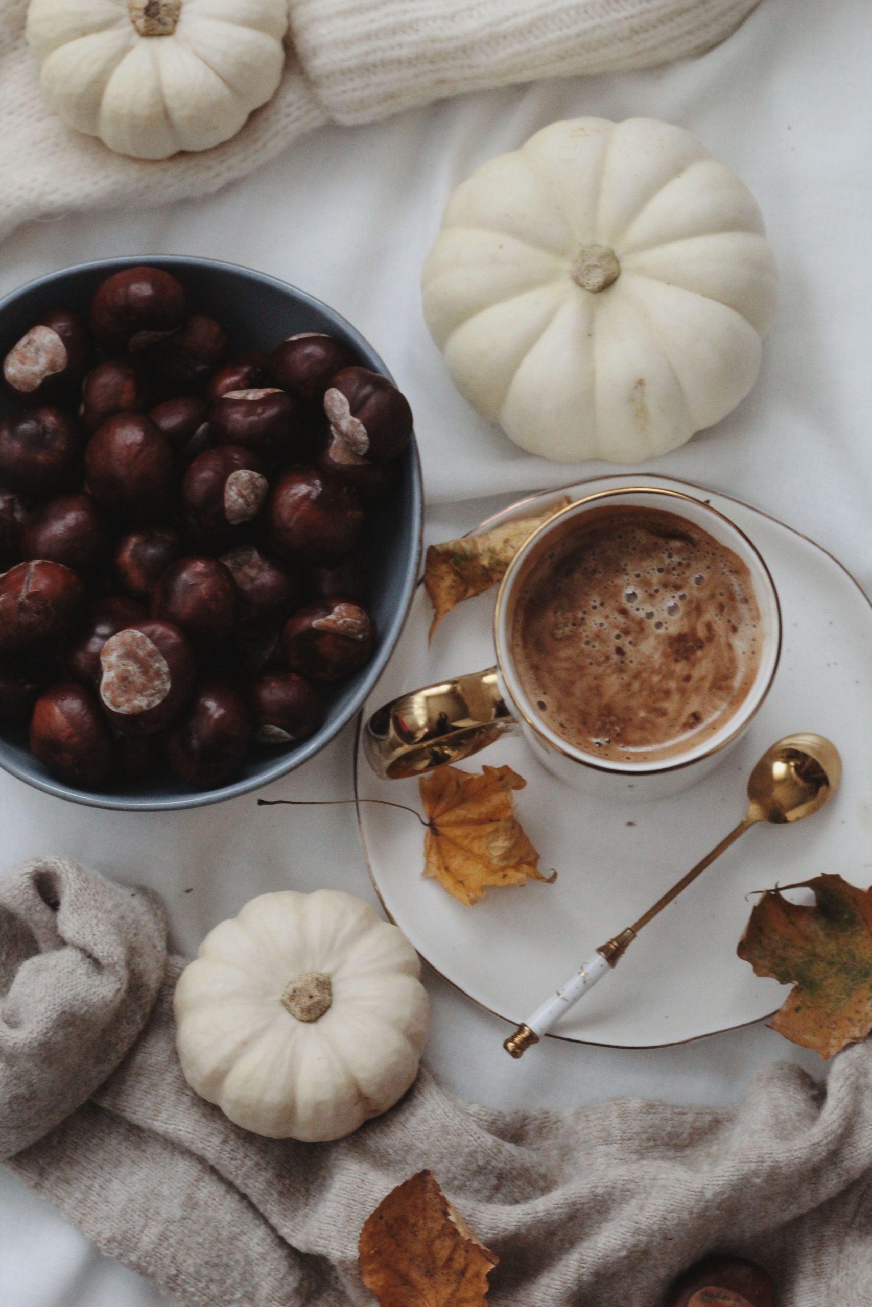 Warm autumn scene featuring coffee, chestnuts, white pumpkins, and fallen leaves.