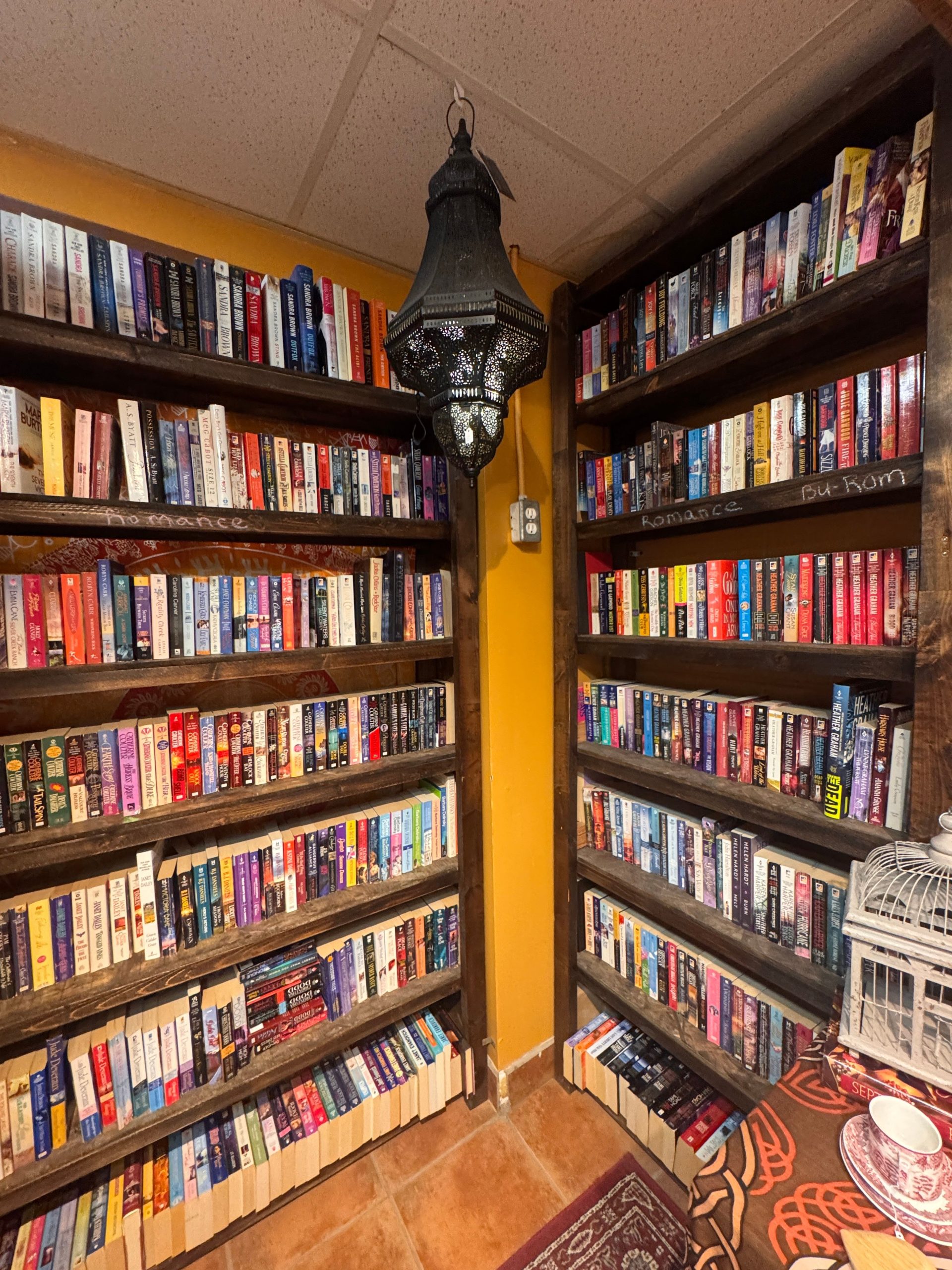 Warm library corner with vibrant shelves full of diverse books. Ideal for book lovers.
