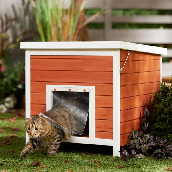 Wooden Cat Outdoor Feral Cat House Diy Feral Cat Box Outside Insulated Cat Shelter Diy Diy Outdoor