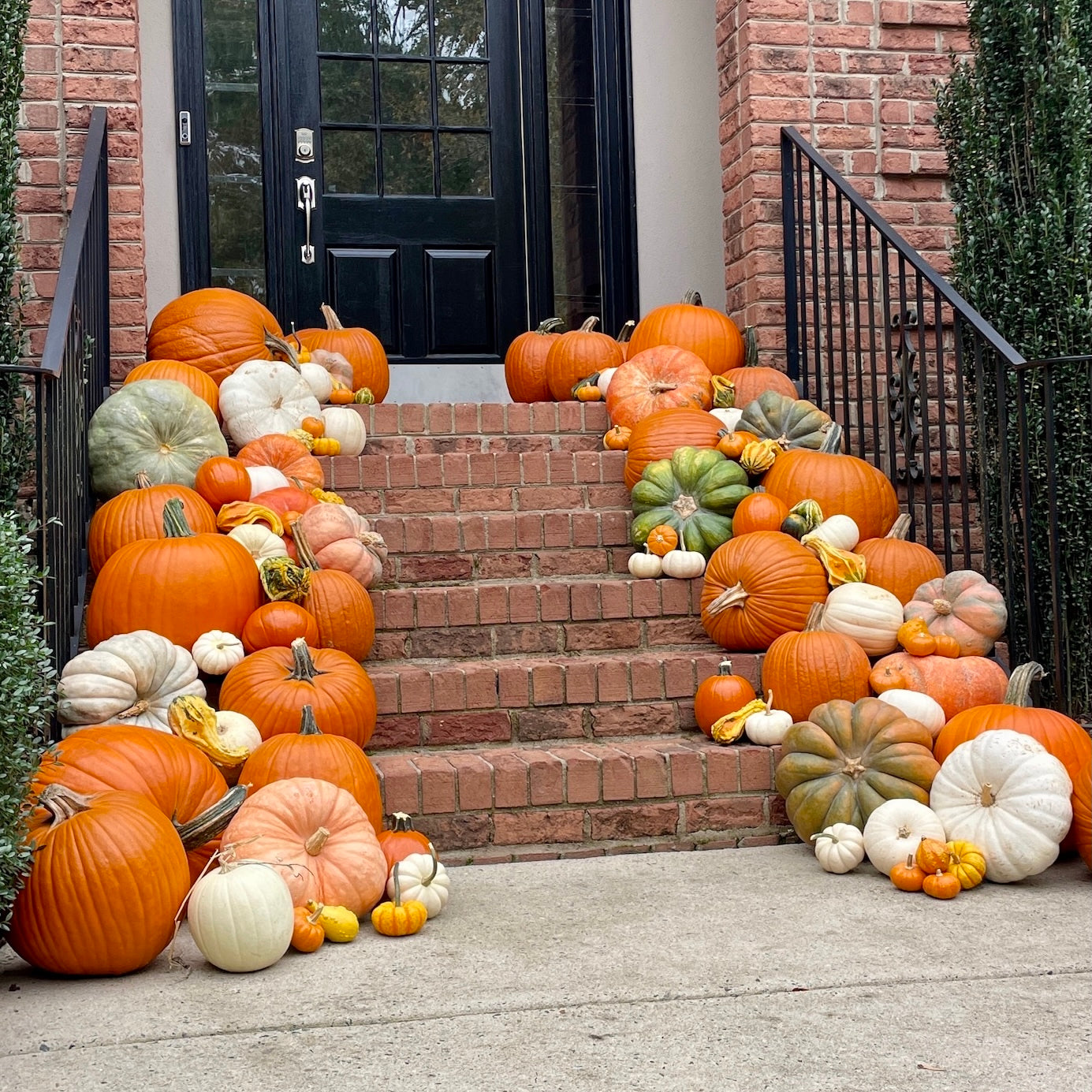 XL Pumpkin Decorating Package - 10/6/25 - 10/10/25