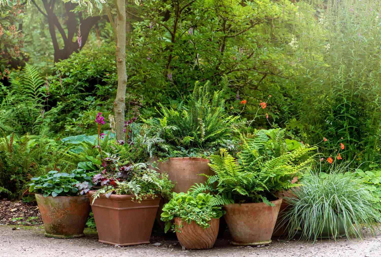 10 Potted Plant Arrangement Ideas for Indoor and Outdoor Spaces