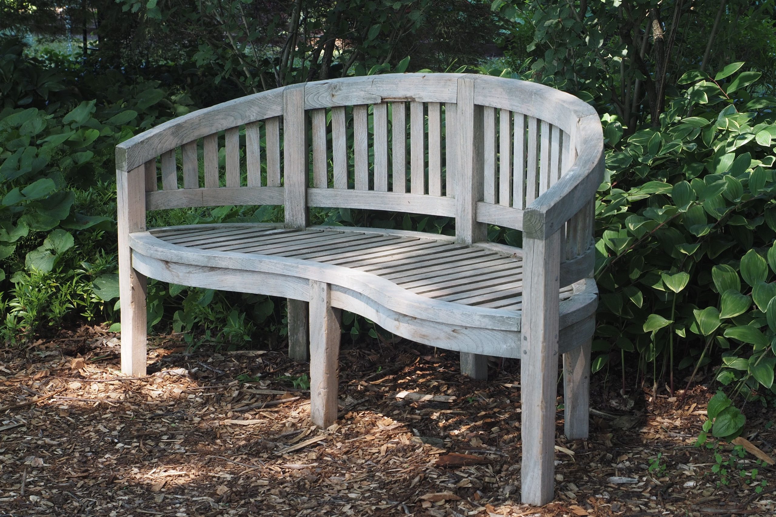 A classic wooden curved bench surrounded by lush garden greenery in Philadelphia.