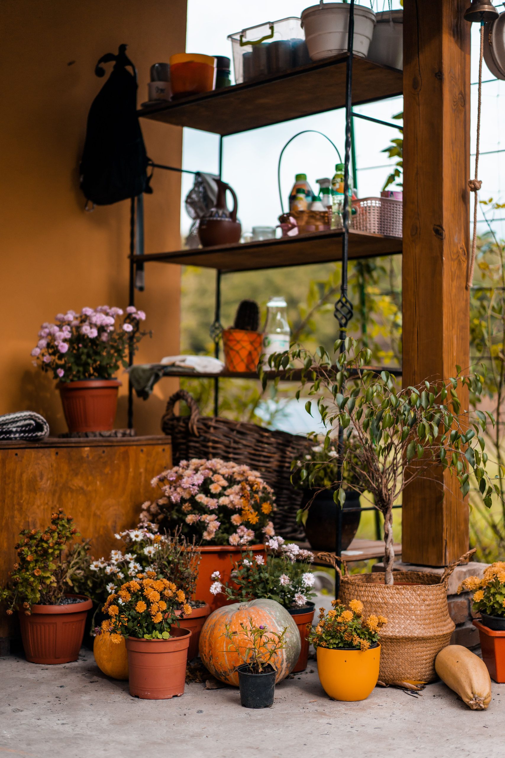 A cozy outdoor space featuring flowers and rustic garden decor in a relaxed setting.