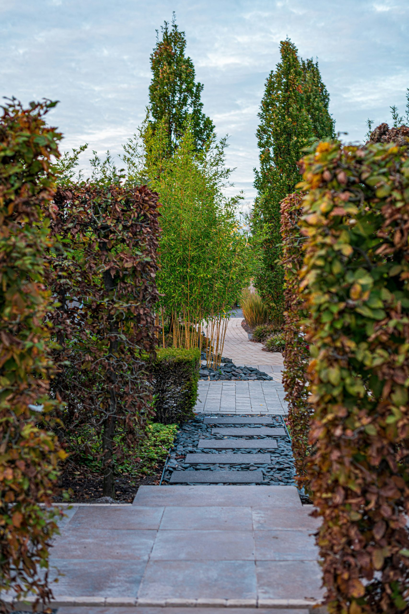 A formal garden path with tall hedges and trees