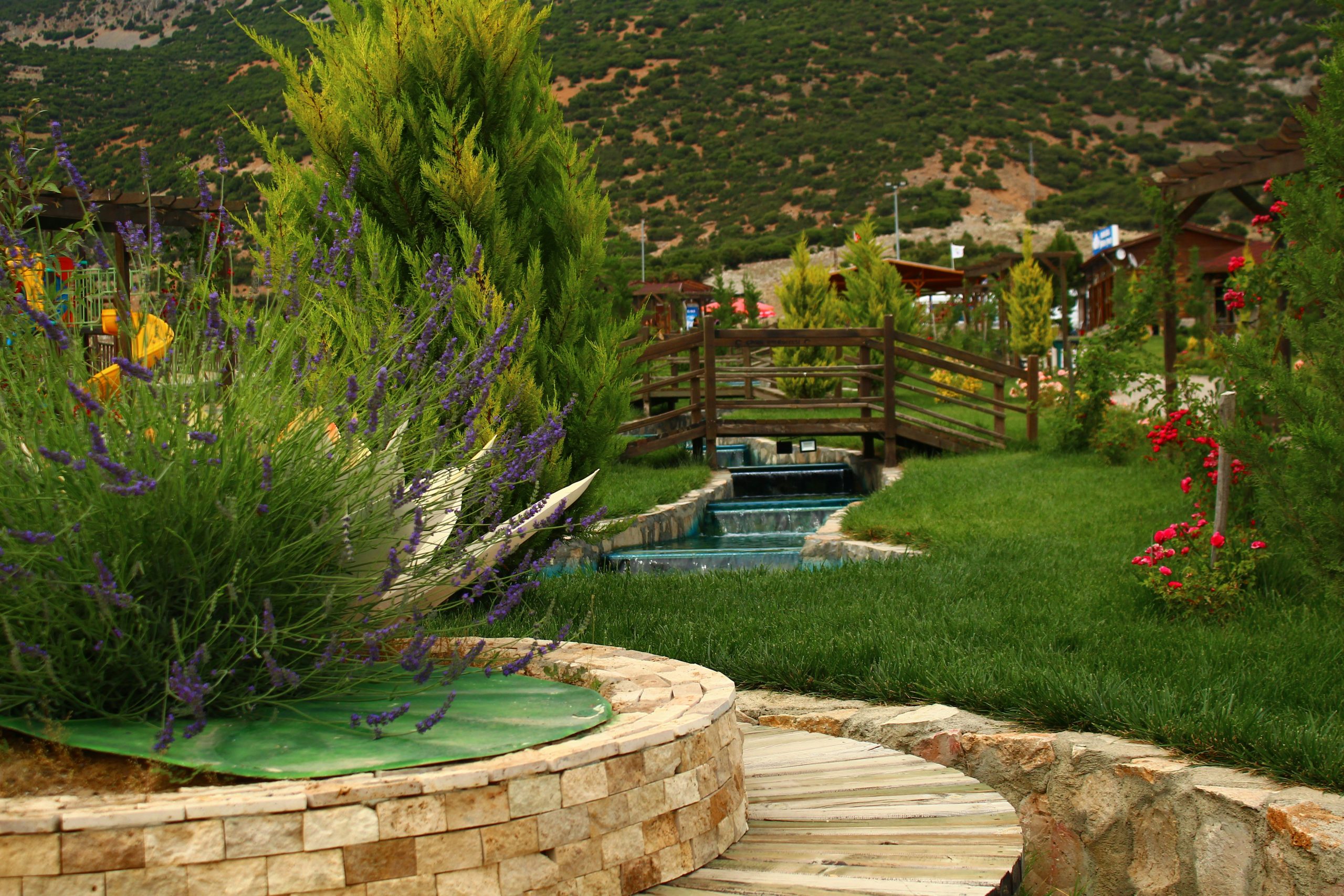 a garden with a pond and a wooden bridge