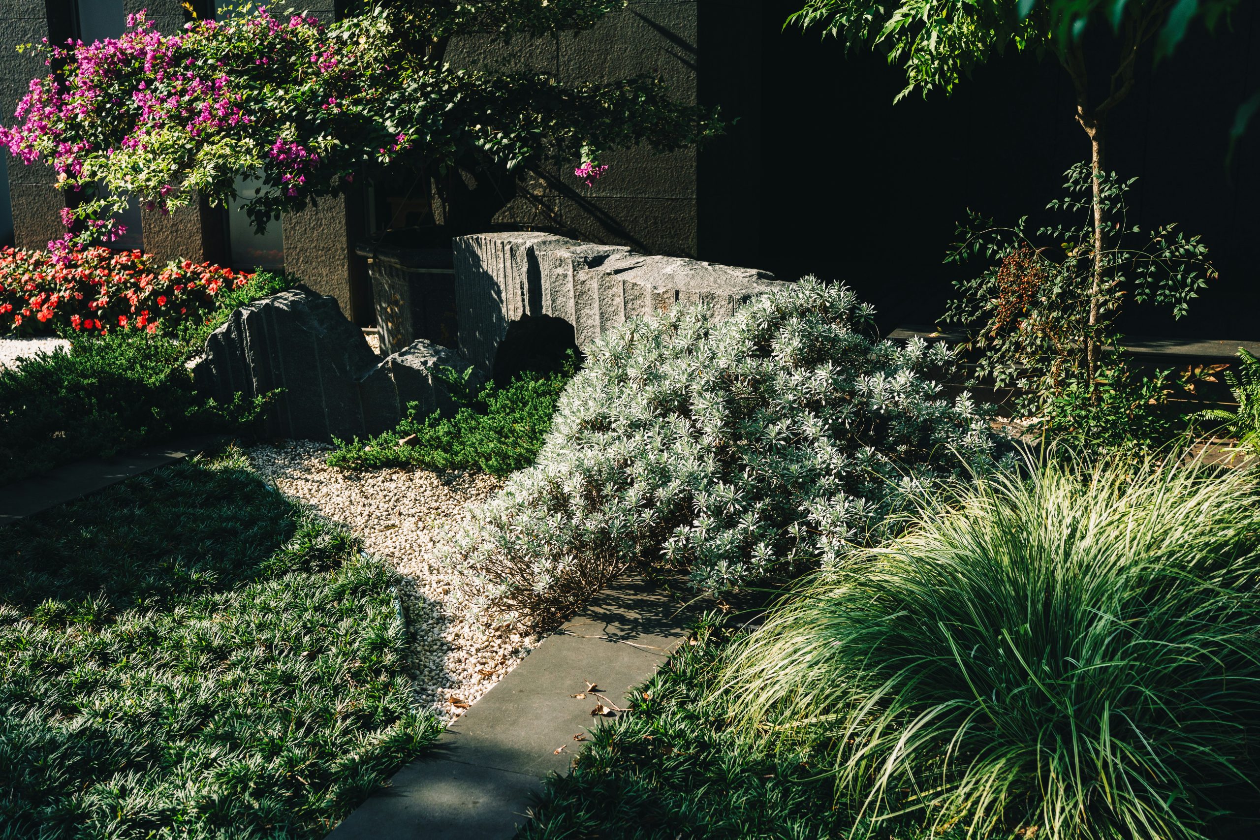A lush garden with flowering plants and stones
