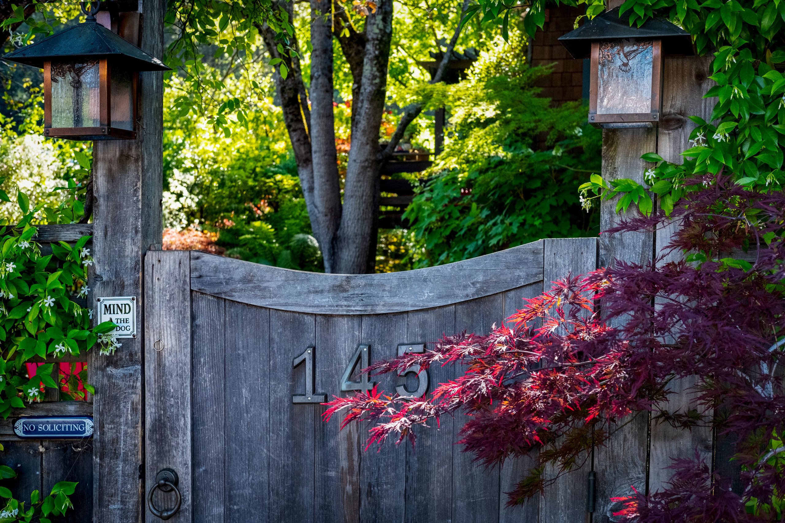 A serene scene with a wooden gate surrounded by vibrant foliage and decorative lanterns.