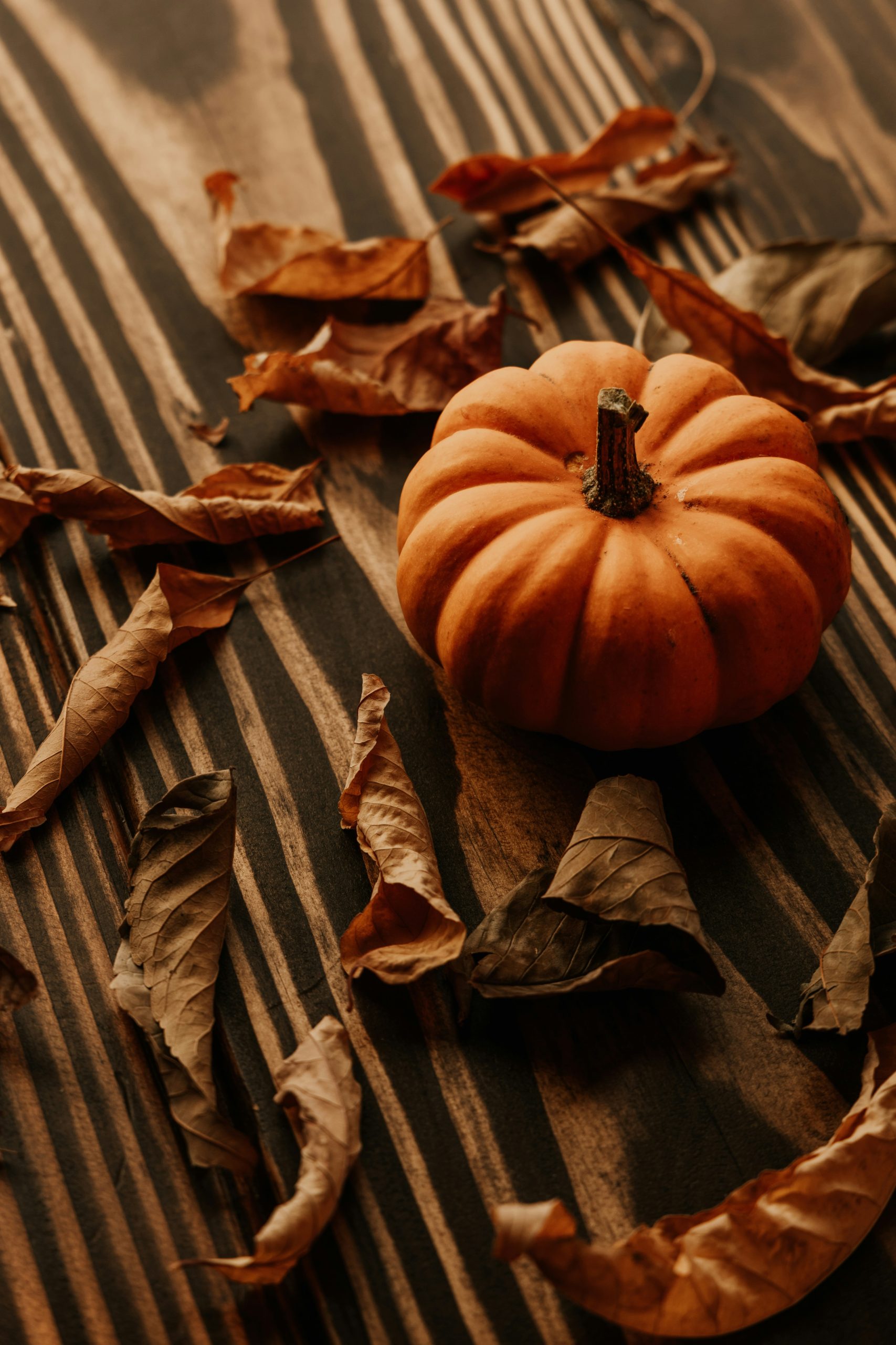 A small pumpkin sitting on top of a wooden table