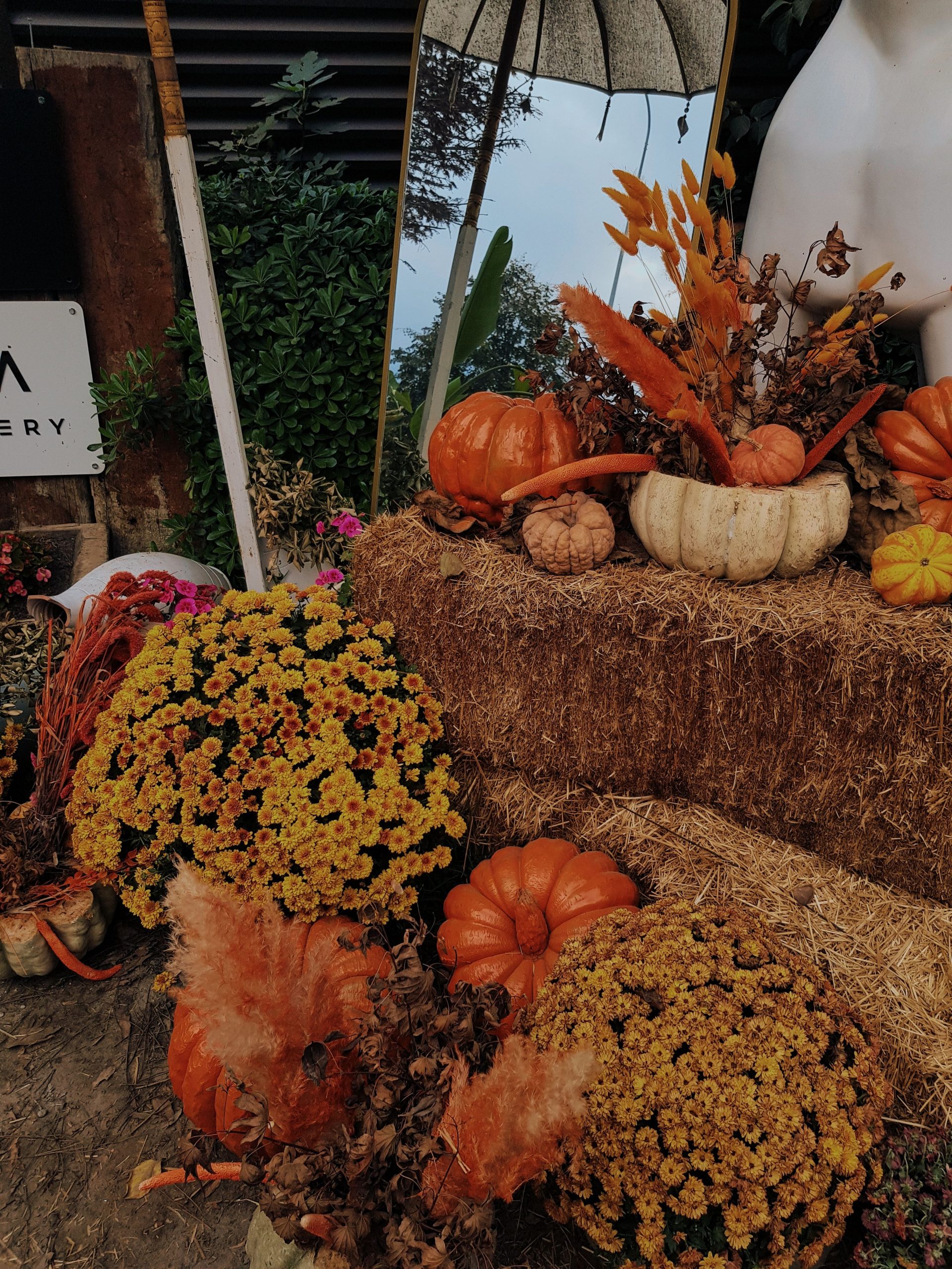 A vibrant autumn harvest display featuring pumpkins, hay bales, and seasonal flowers.