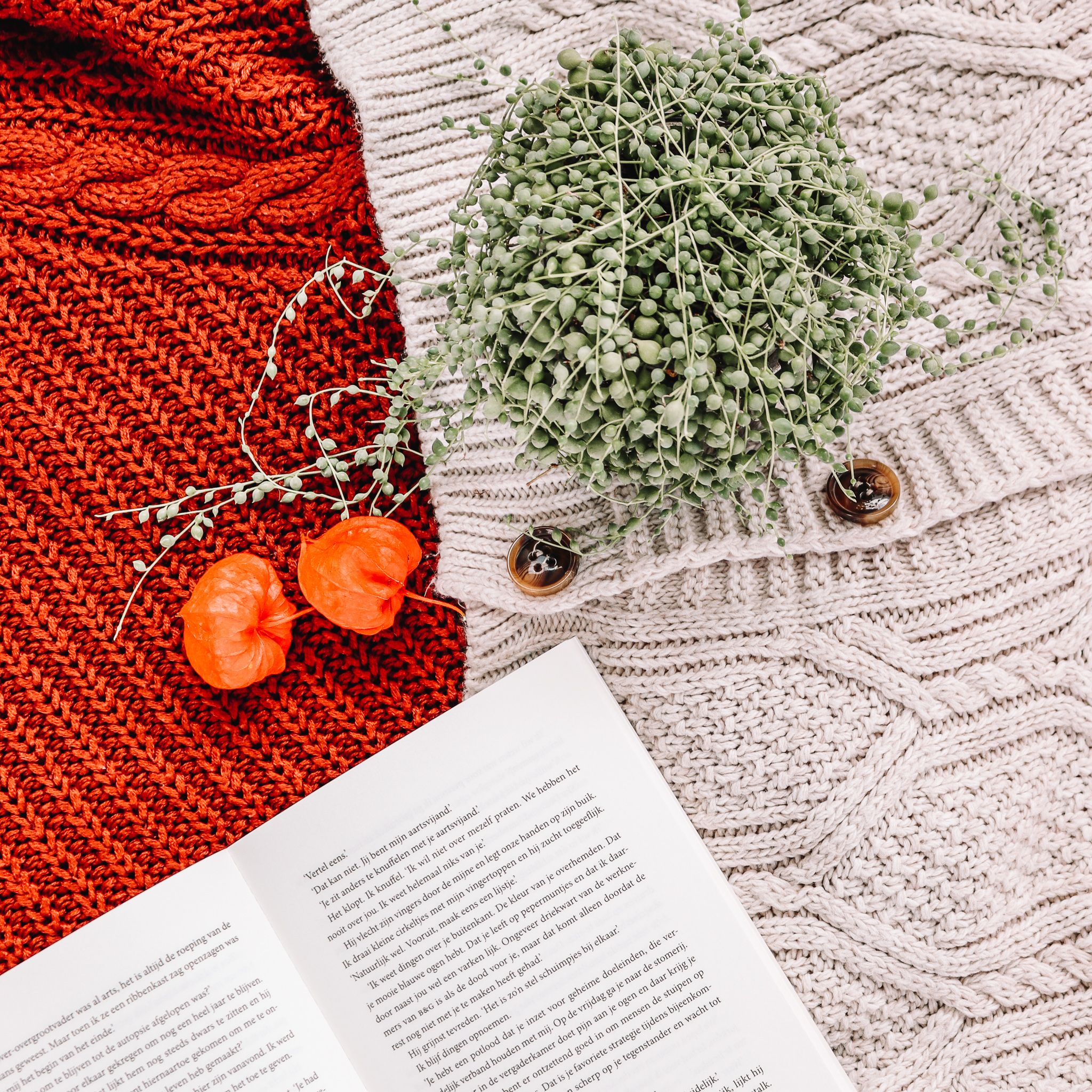 A warm flat lay of red and beige sweaters, greenery, and an open book.