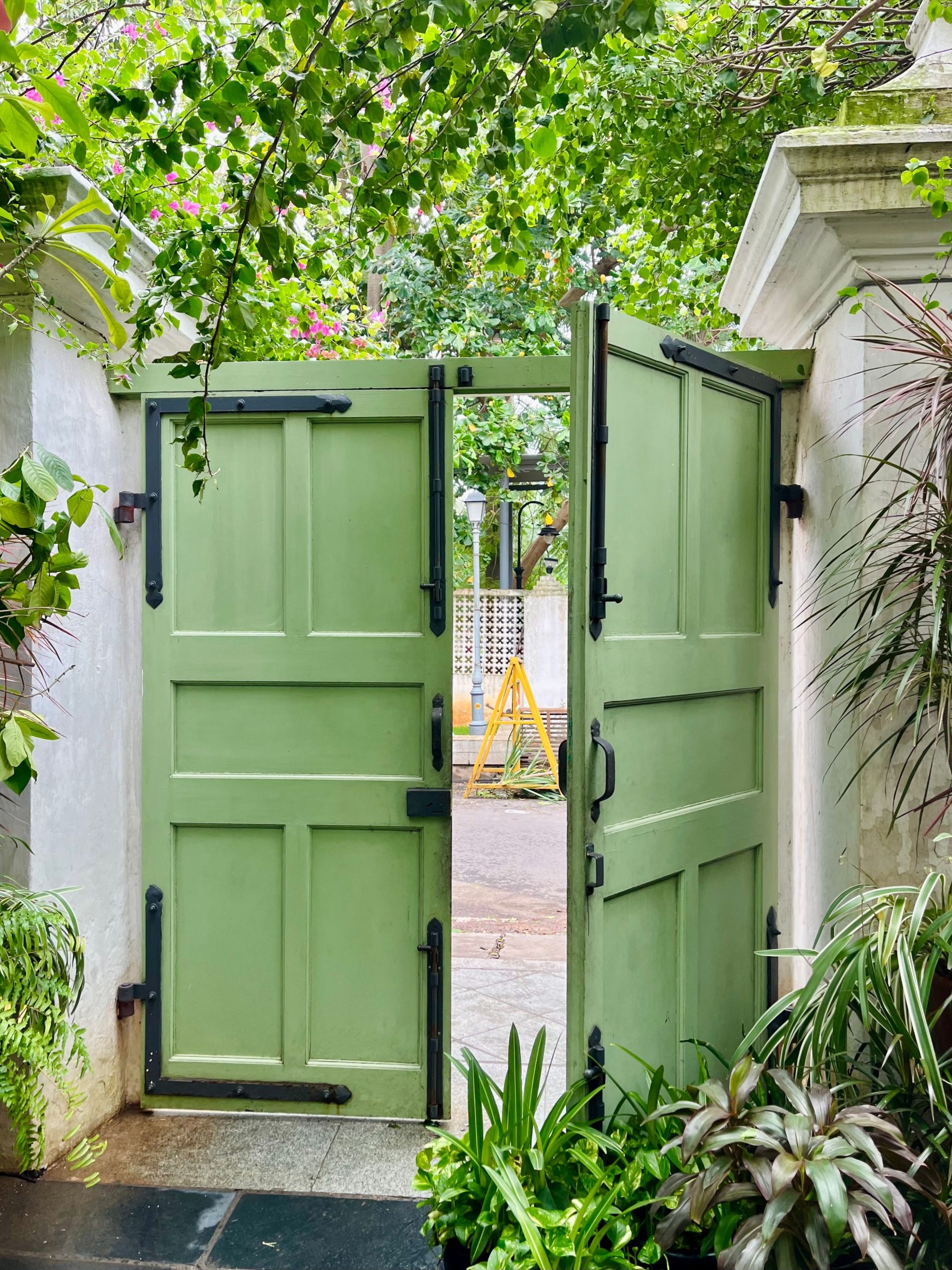 Aesthetic green garden gate leading to a vibrant outdoor space, framed by lush plants and foliage.