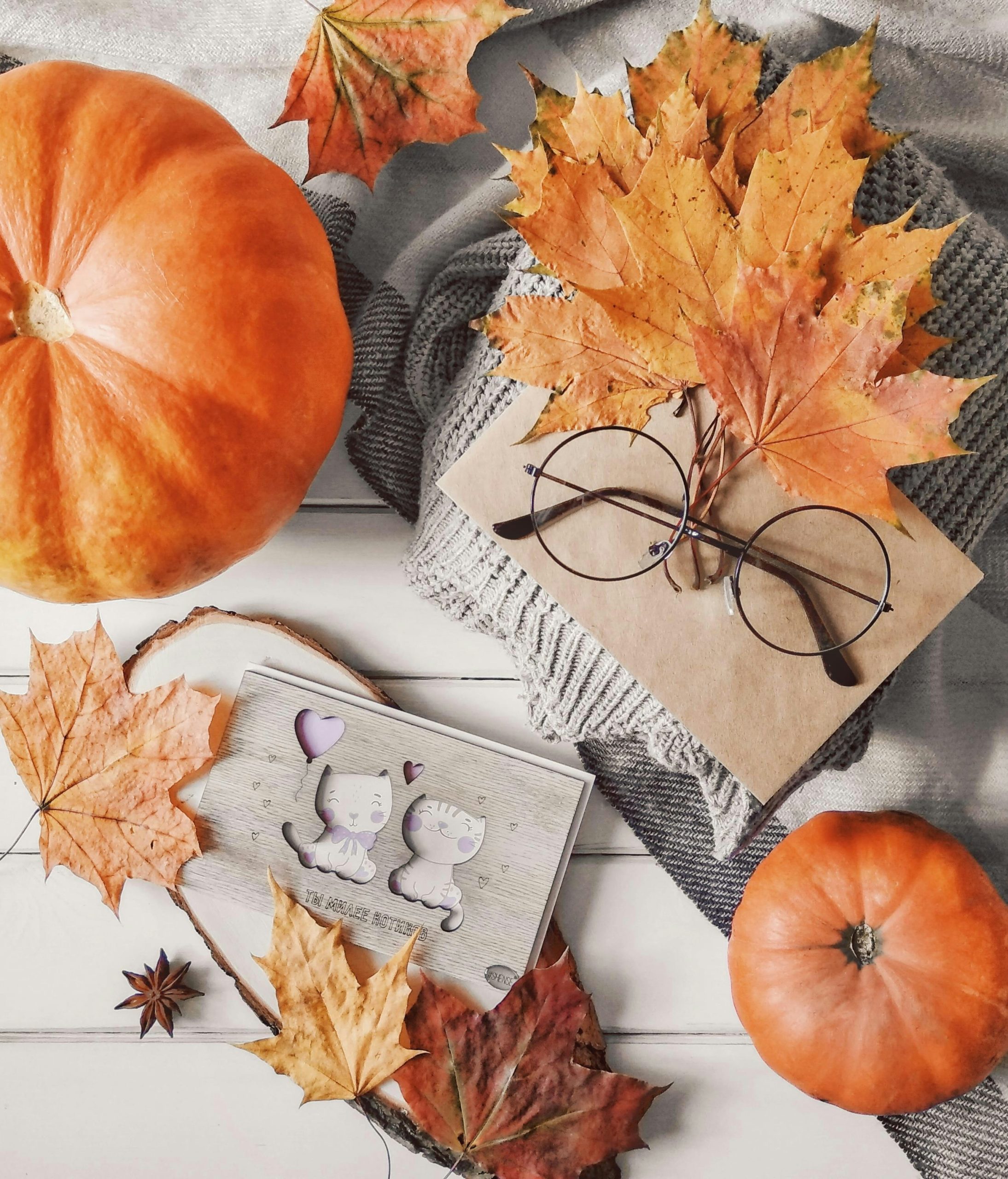 autumn leaves flatlay pumpkins