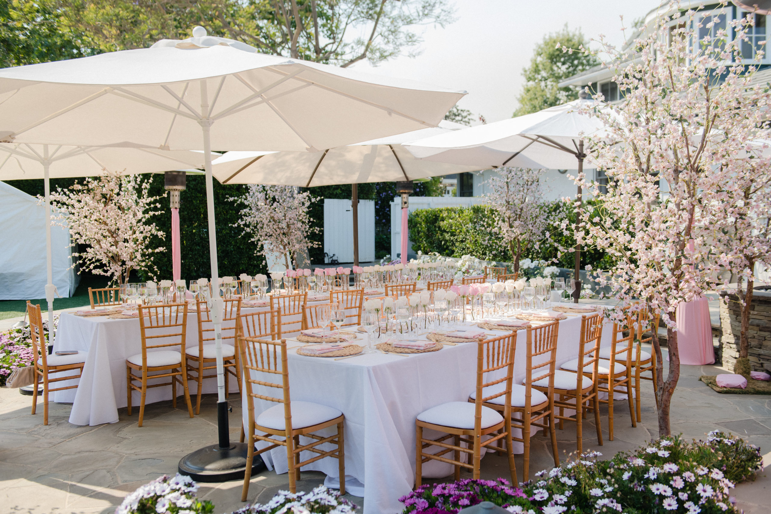Blush Backyard Bridal Shower - Karina Pires Photography