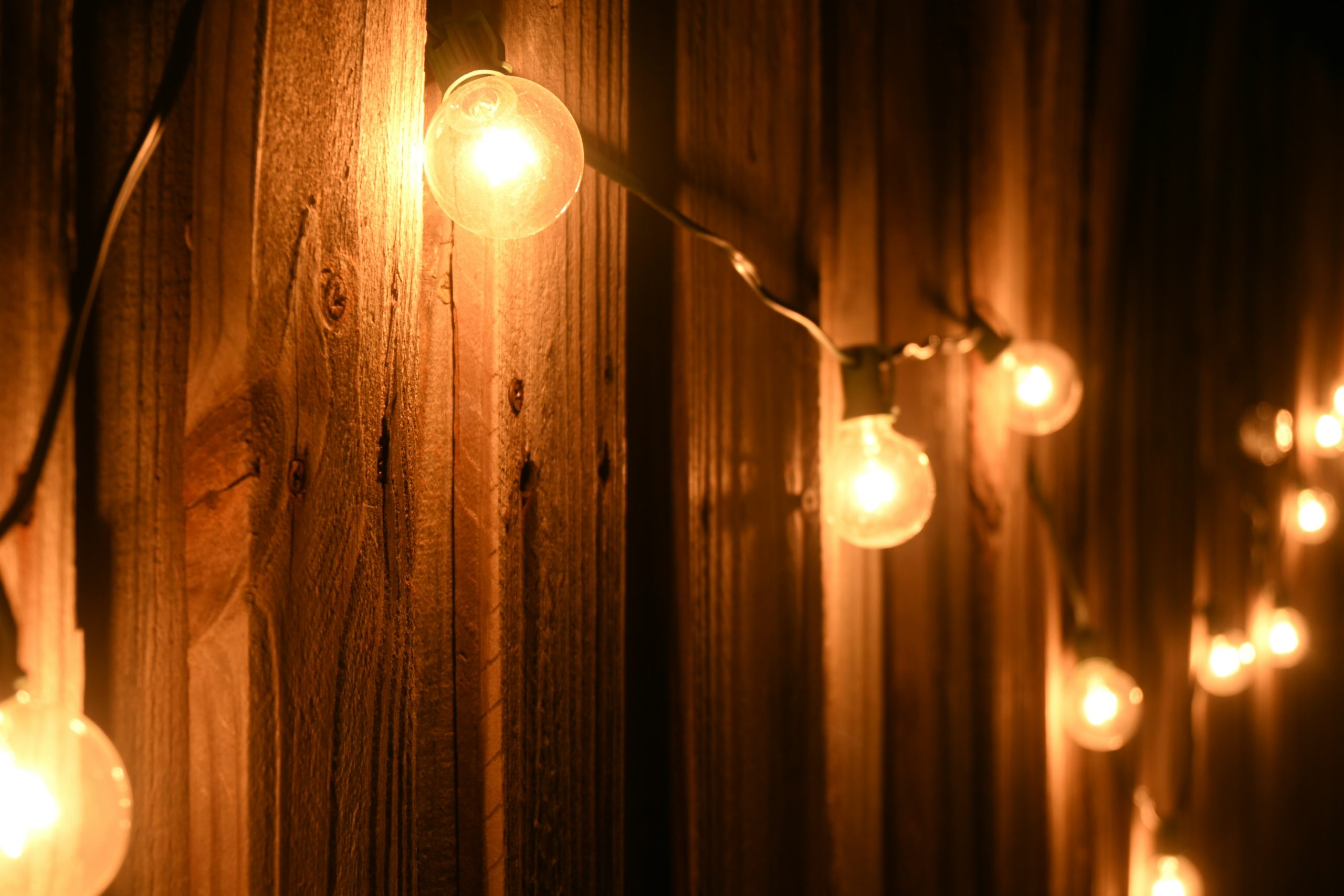 Cleaning up after the backyard soiree and the lights on the fence just looked really cool..