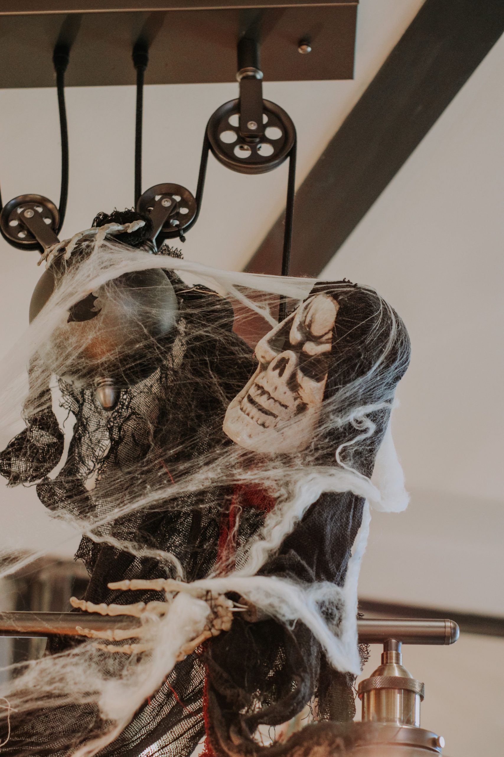 Close-up of a spooky skeleton decoration with cobwebs, perfect for Halloween ambiance.