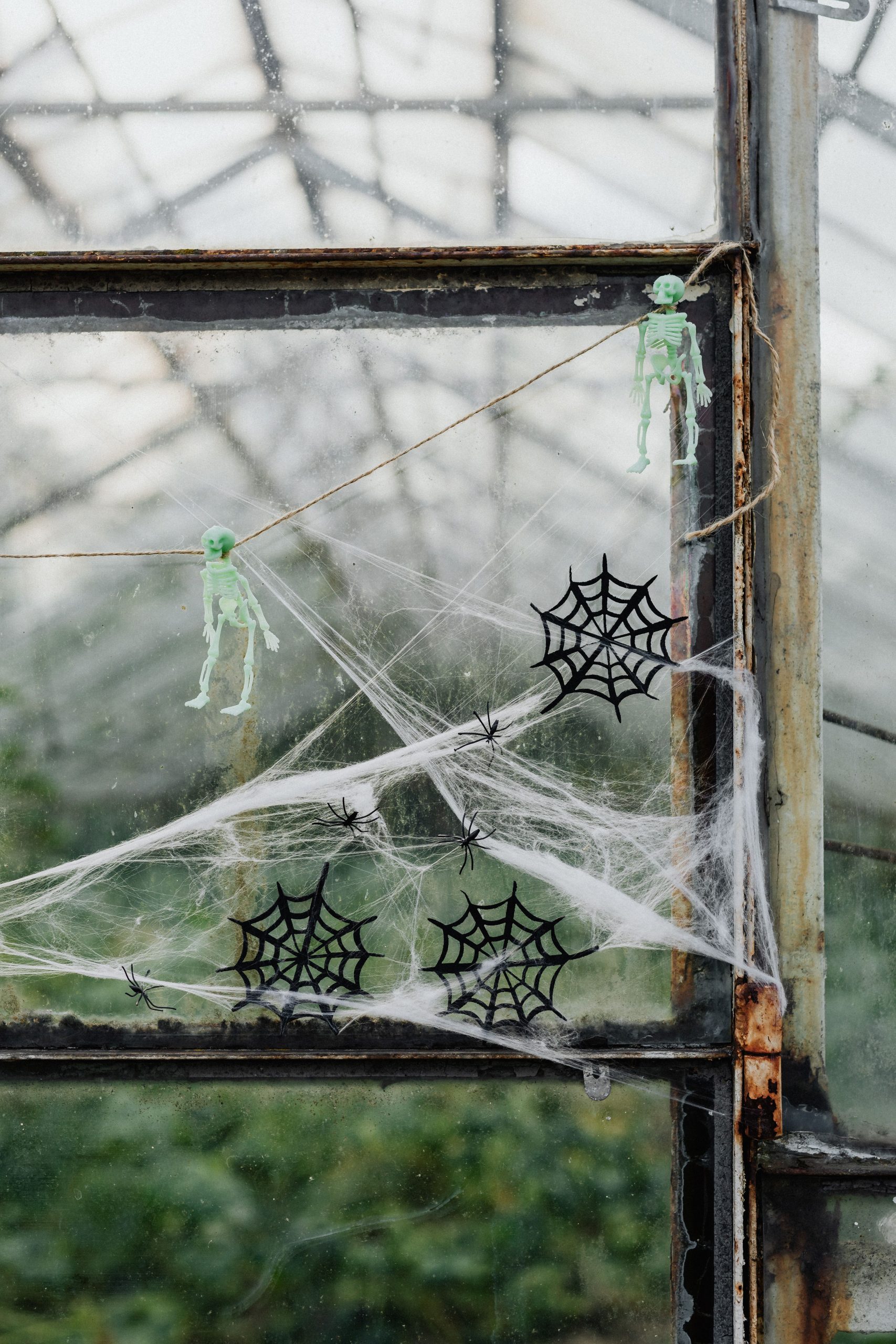 Close view of Halloween decorations in a greenhouse with cobwebs and skeleton figures.