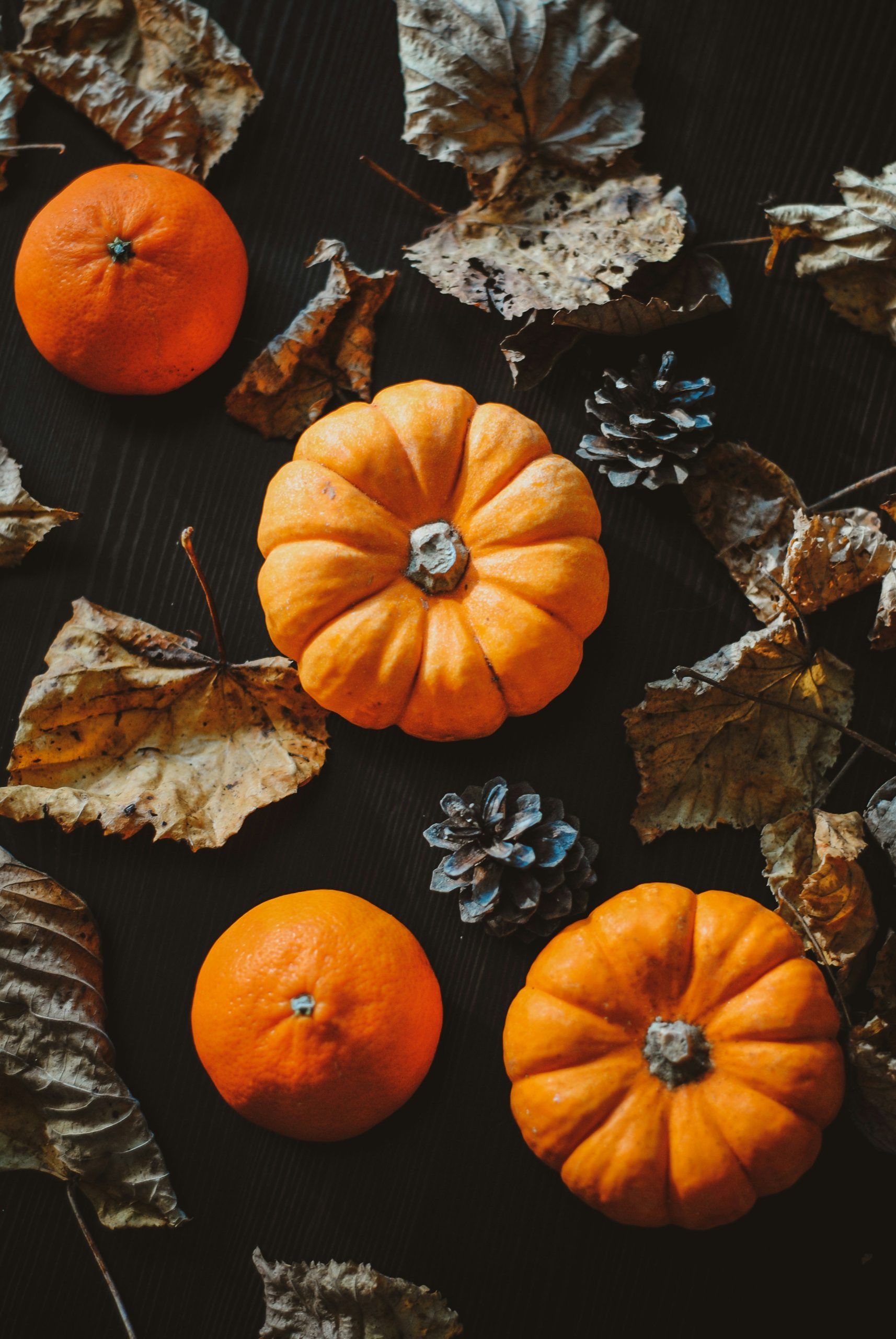 Couldn’t resist #autumn