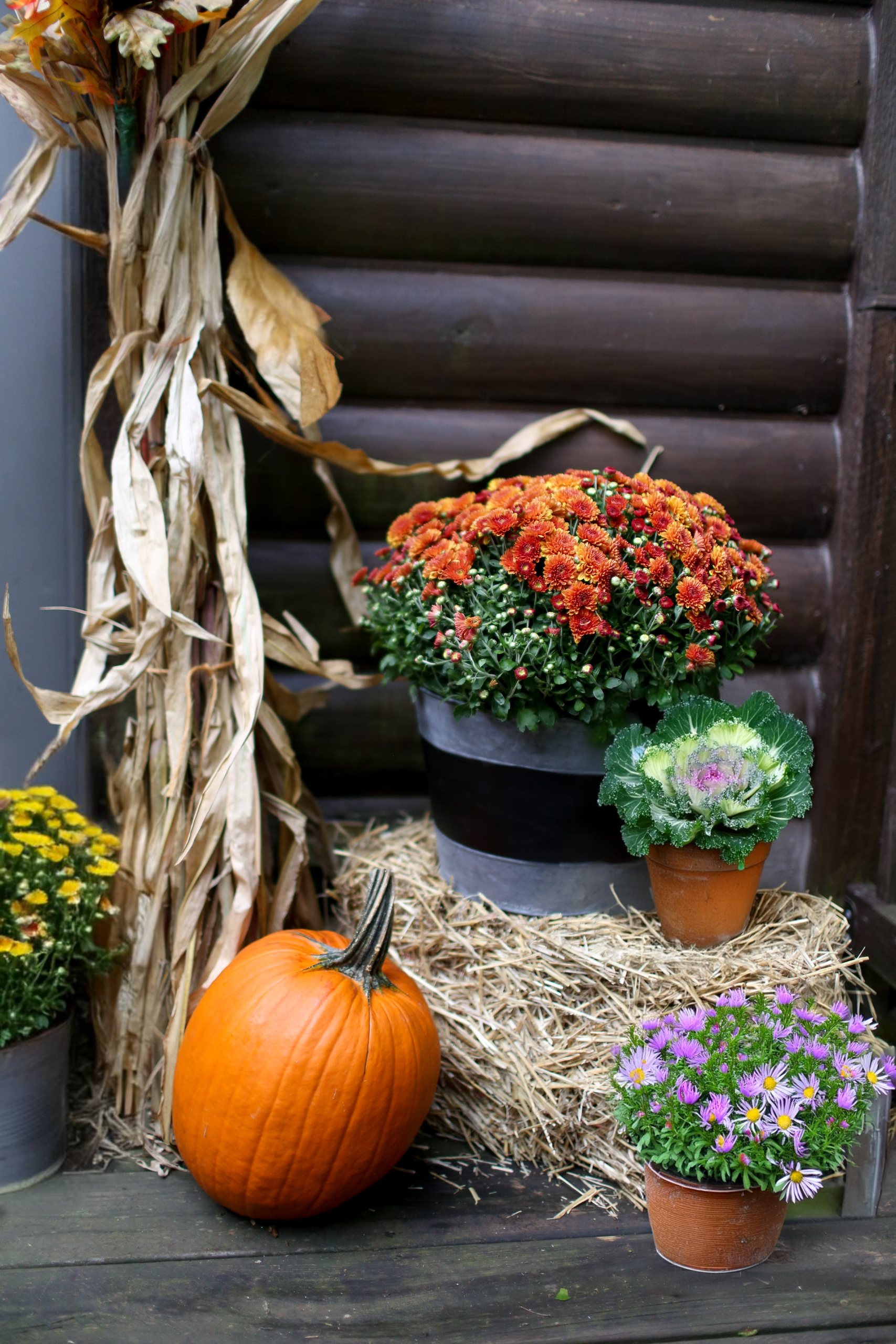 Decorating with Pumpkins, Gourds, and Cornstalks | Bru-Mar Gardens